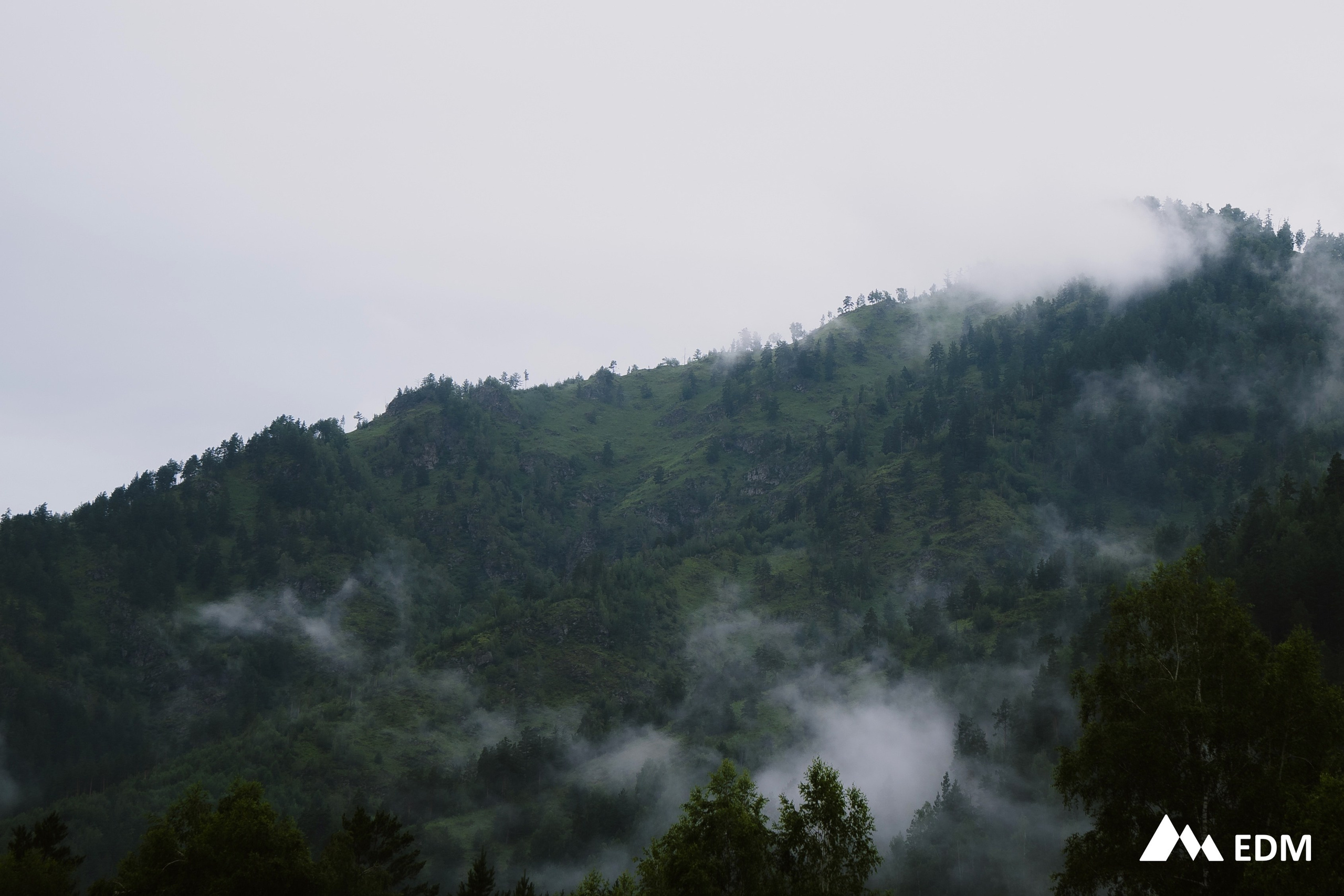 Международная конференция EDM. Фотограф Новосибирск Вероника Вишневская