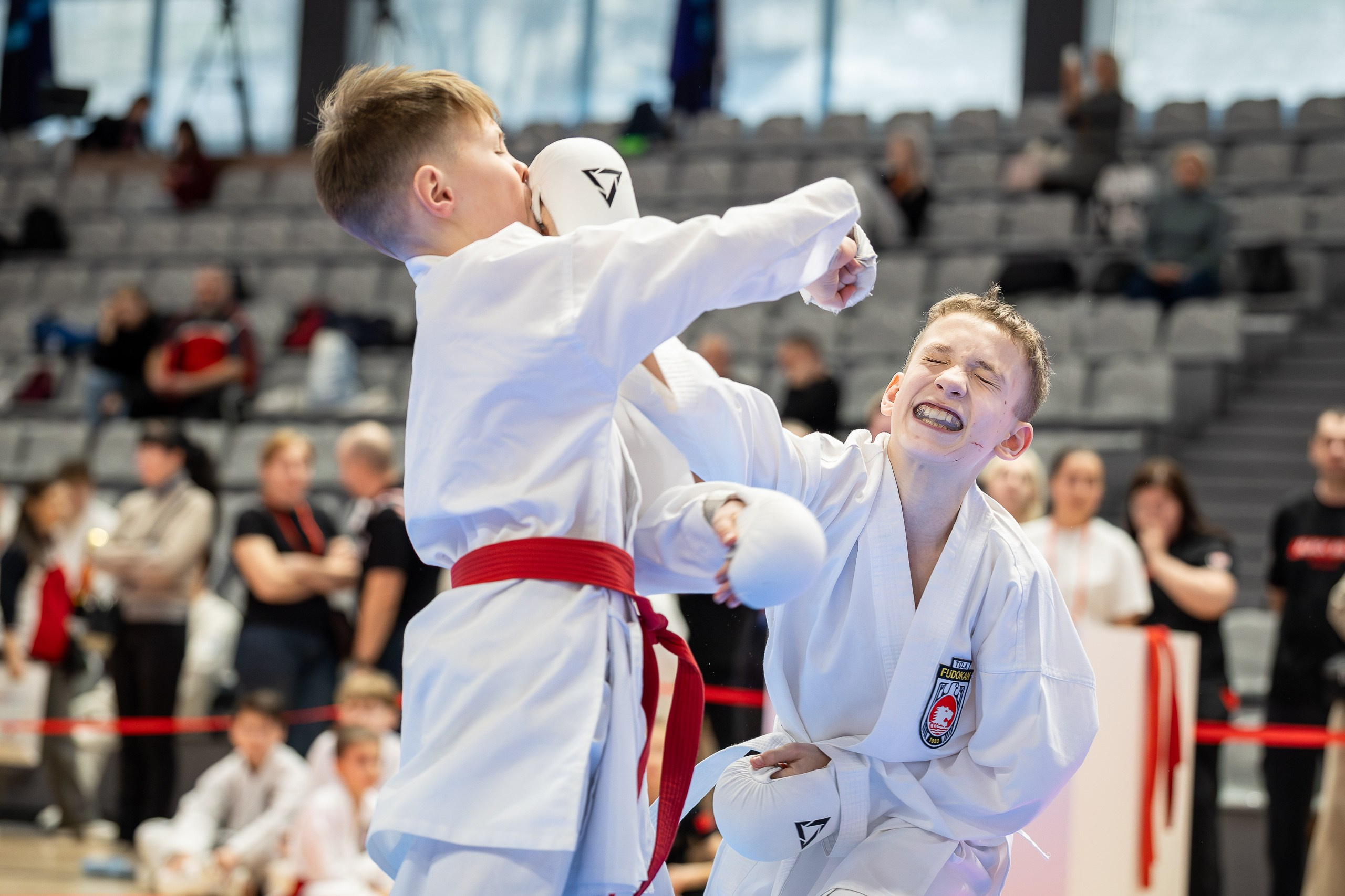 Чемпионат и Первенство России по Фудокан каратэ. Свадебная фотосъёмка в Москве, Туле