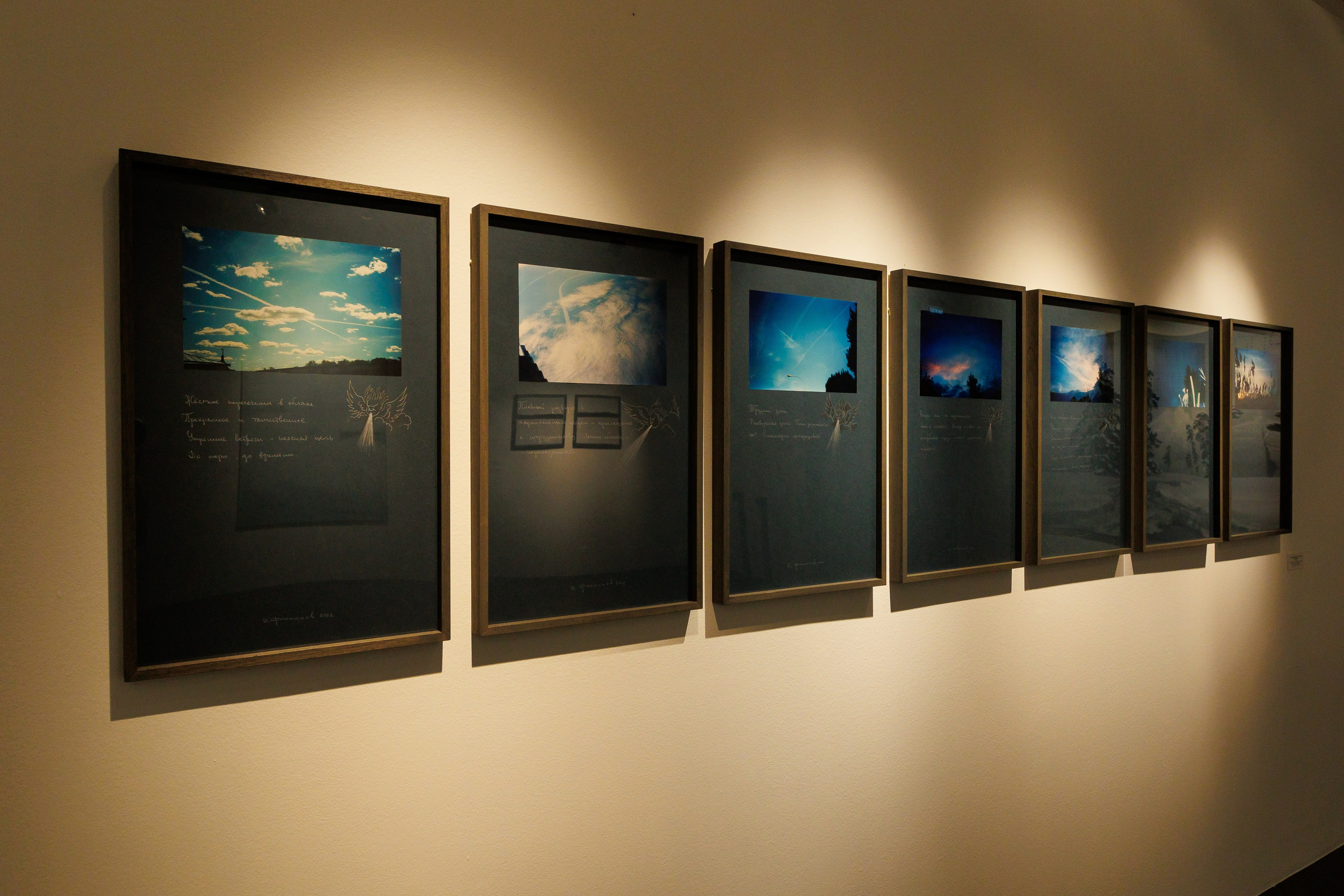 Открытите выставки Небесная География или разбор полетов Андрея Филиппова. Фотограф Иван Недорез