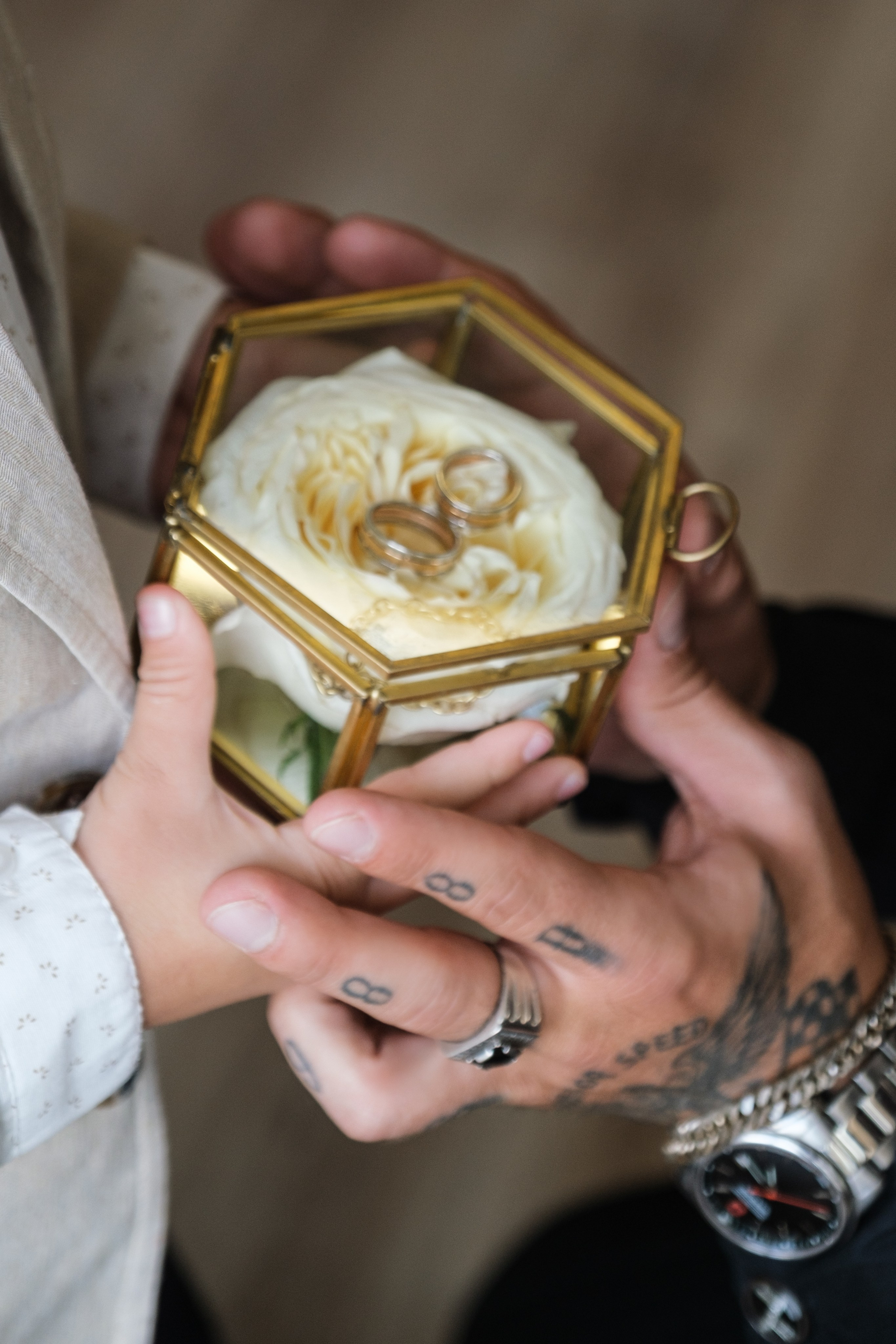 Виктория / Евгений. Свадебный Видеограф Фотограф в Сочи