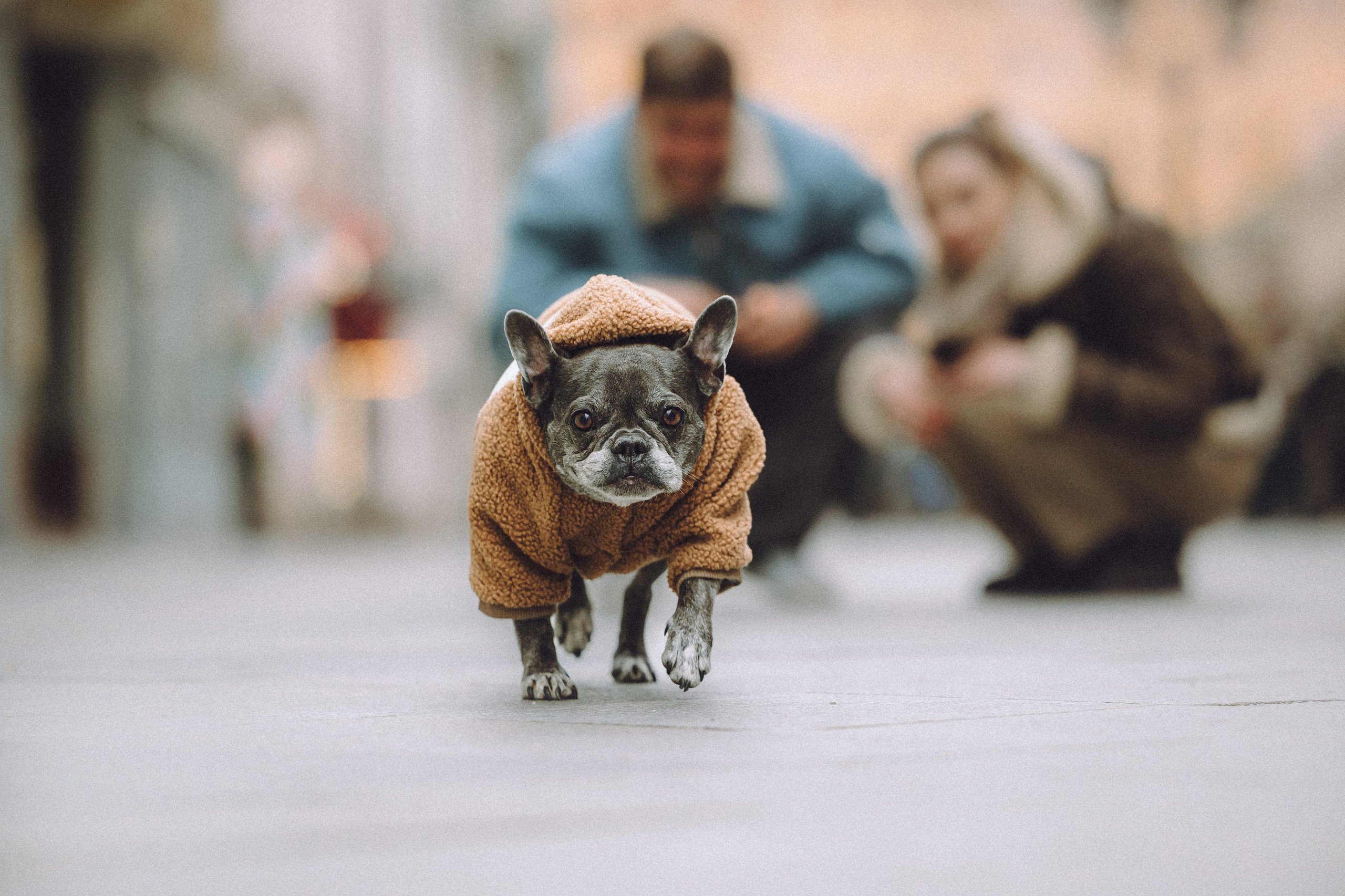 Юля, Вова и Моня
