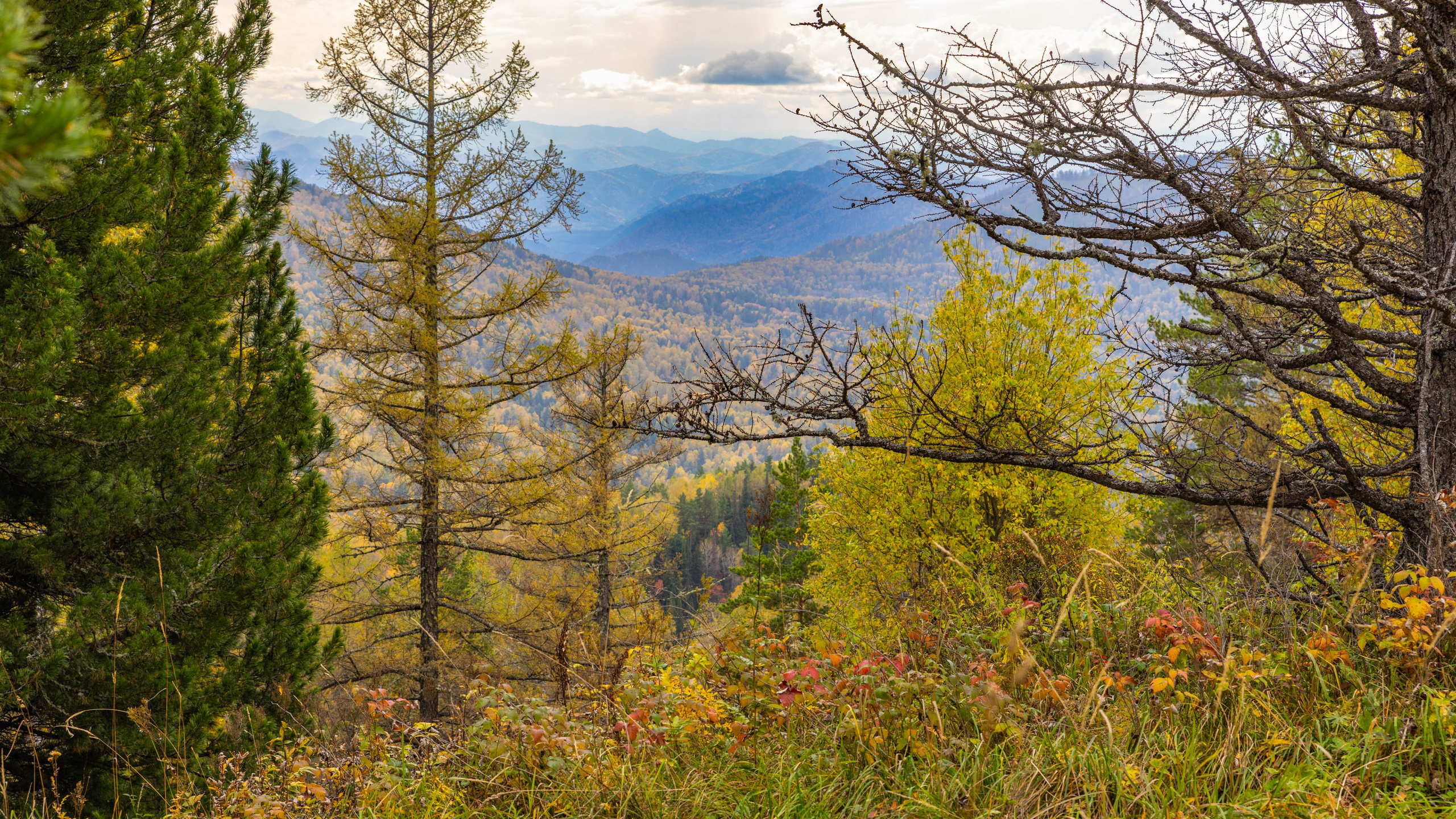 2025 09 Алтай. Чуйский тракт. Фотографии