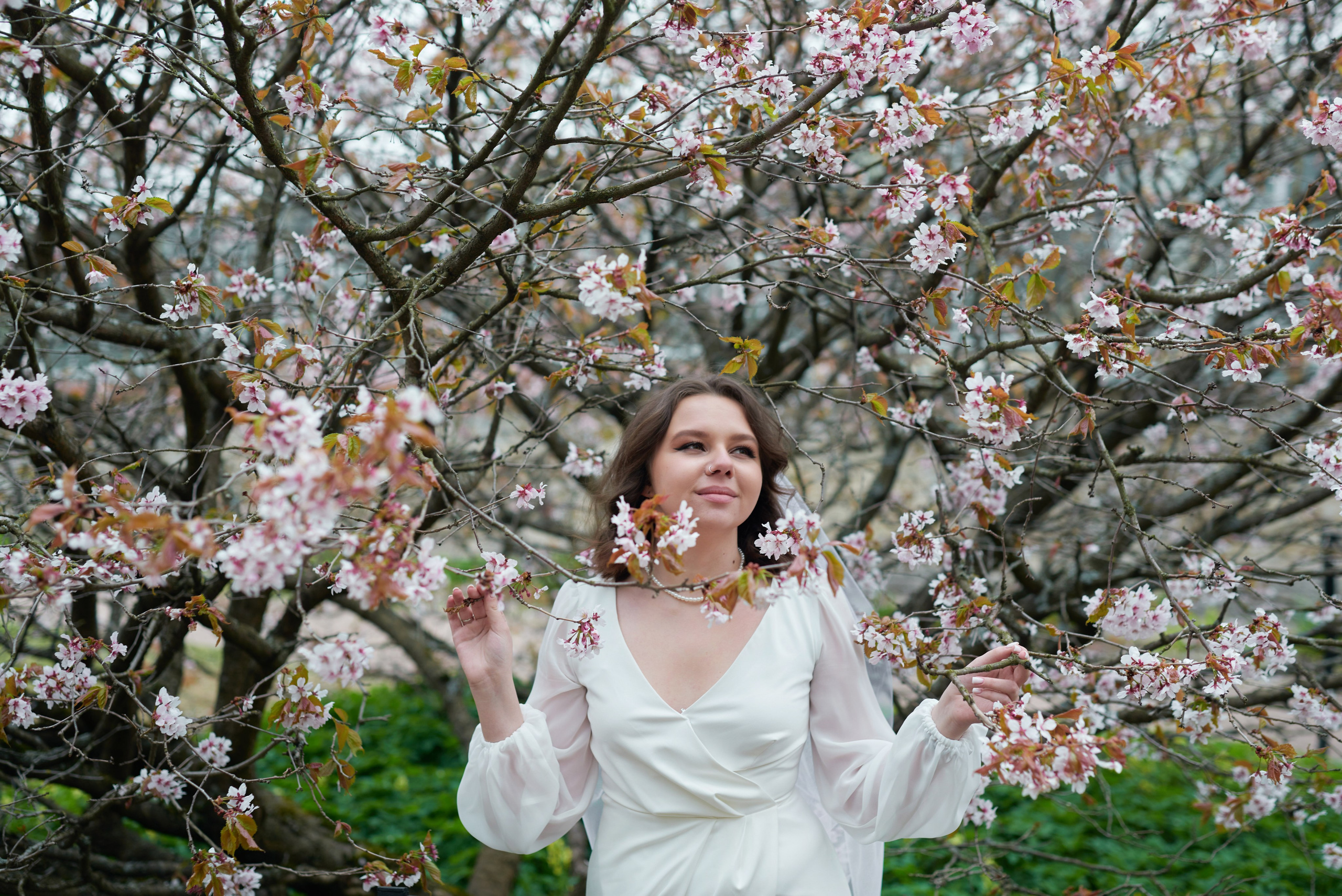 Ксения и Егор (фотосессия в ЗАГСе Петроградского района, Ботаническом саду с сакурой). Портретный, семейный и свадебный фотограф в Санкт-Петербурге и в Пушкине Ширяев Денис