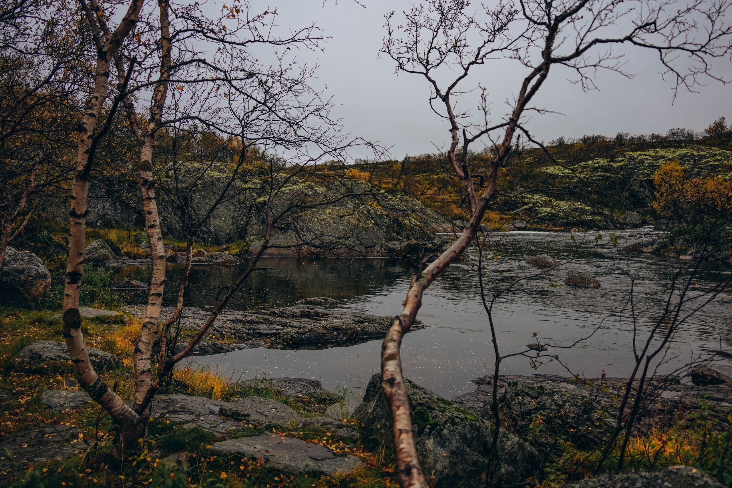 СЕВЕР. Event фотограф Степанова Александра