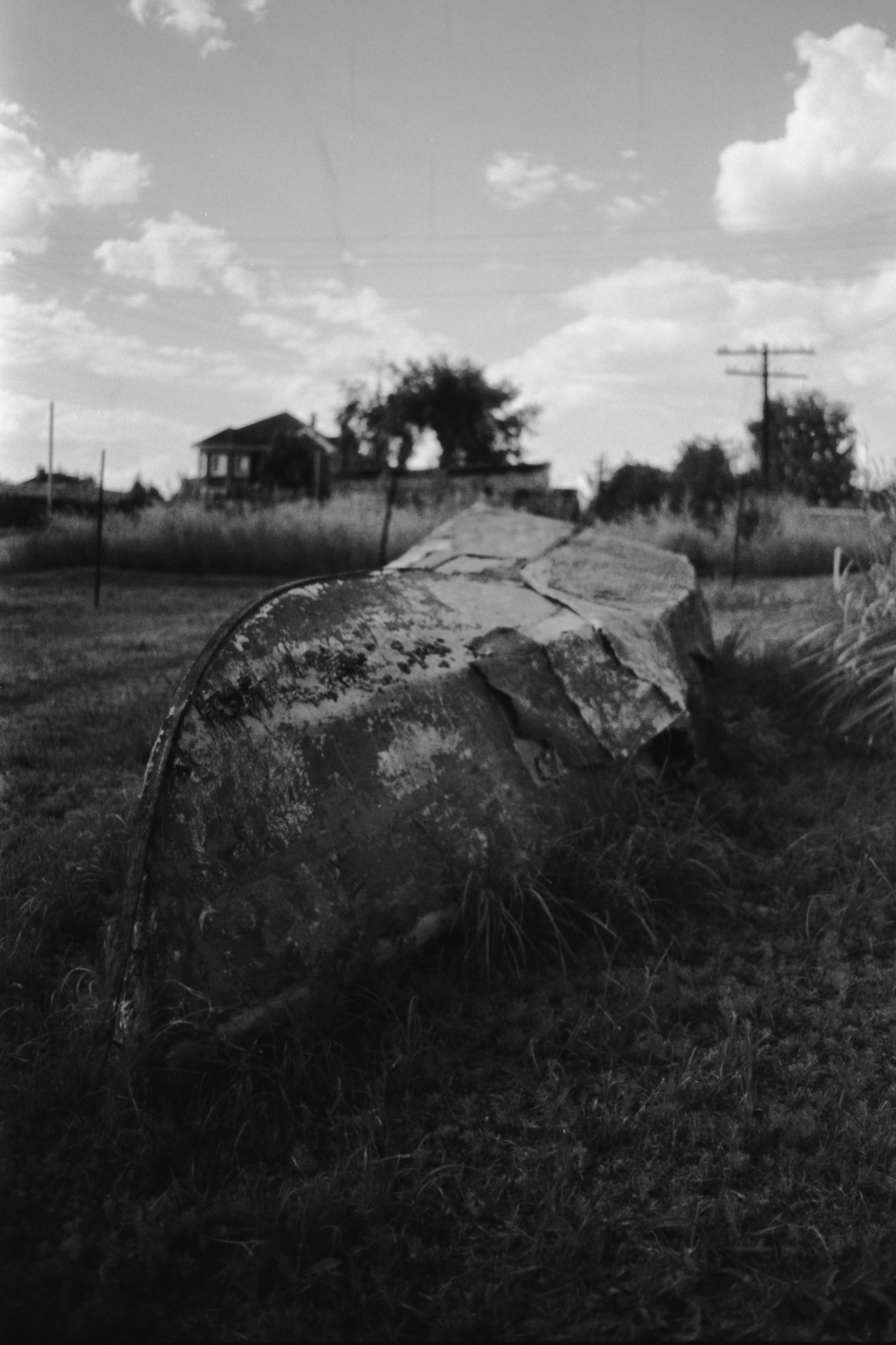 Пленочная история. Дмитрий Пропадалин, Нейрофотография