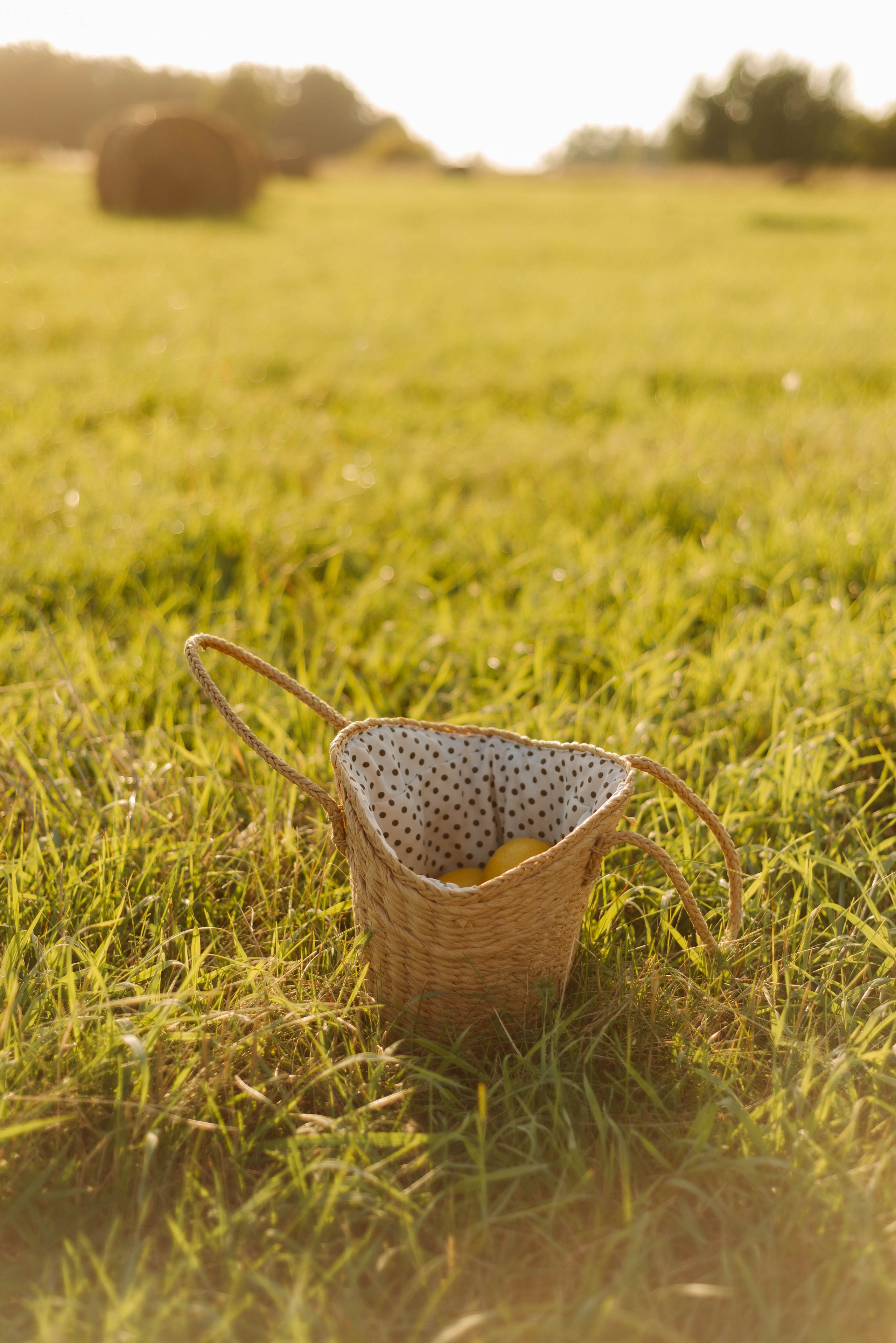 Елена. Фотограф в Новосибирске