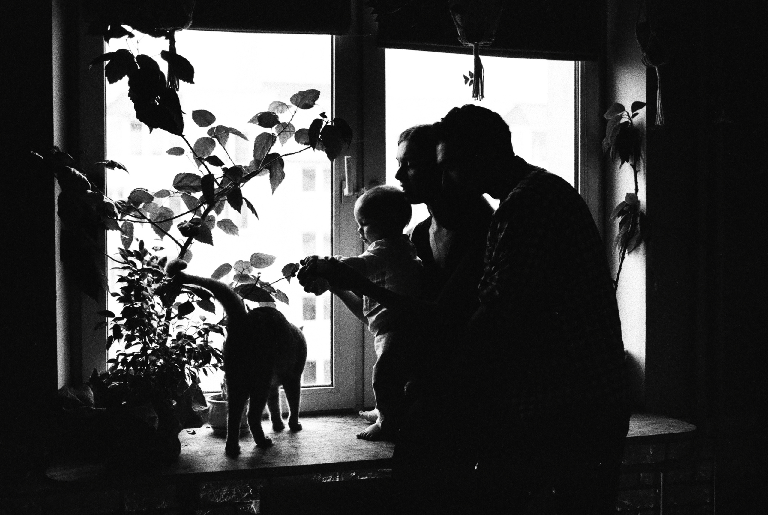 Настя Петя и Ваня. Свадебный и семейный пленочный фотограф в Петербурге Истомина Ирина