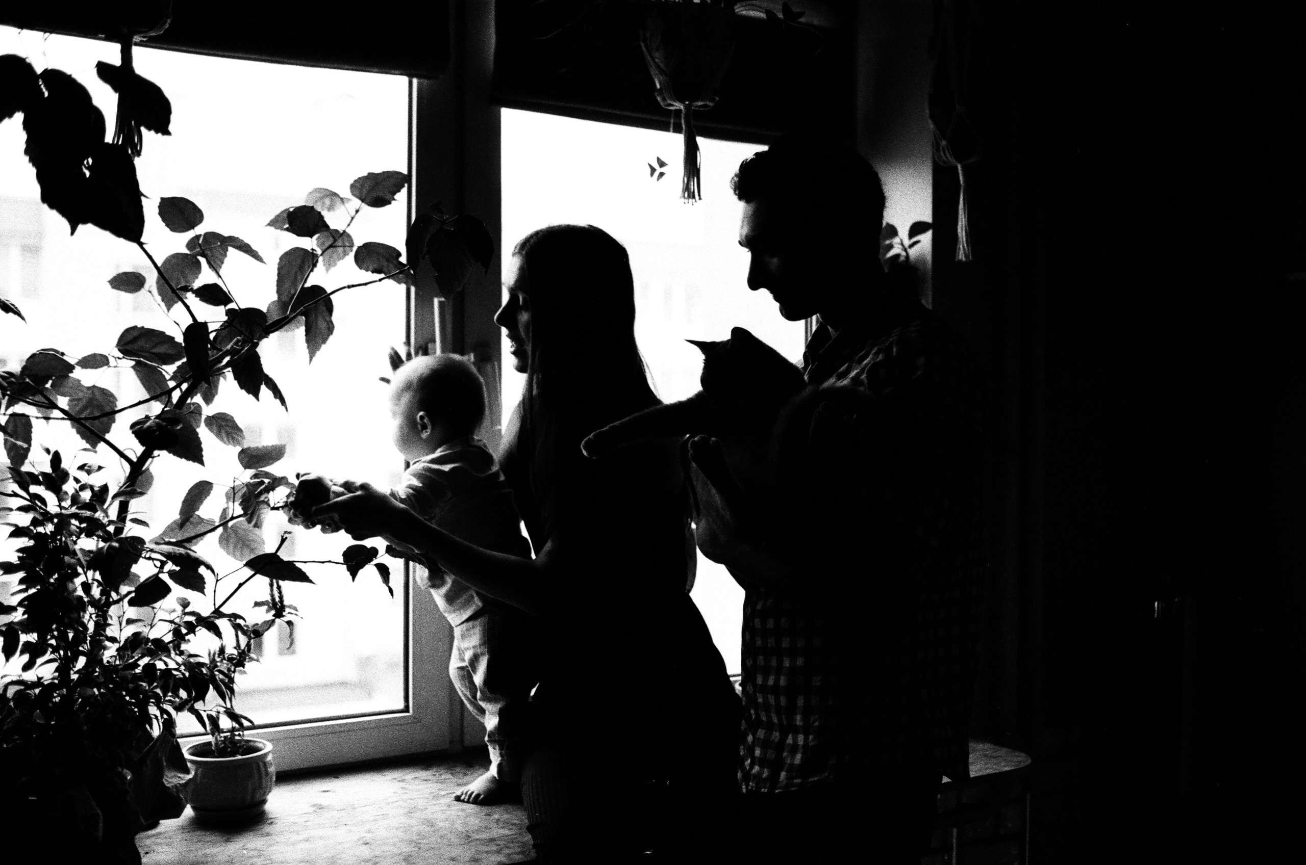 Настя Петя и Ваня. Свадебный и семейный пленочный фотограф в Петербурге Истомина Ирина