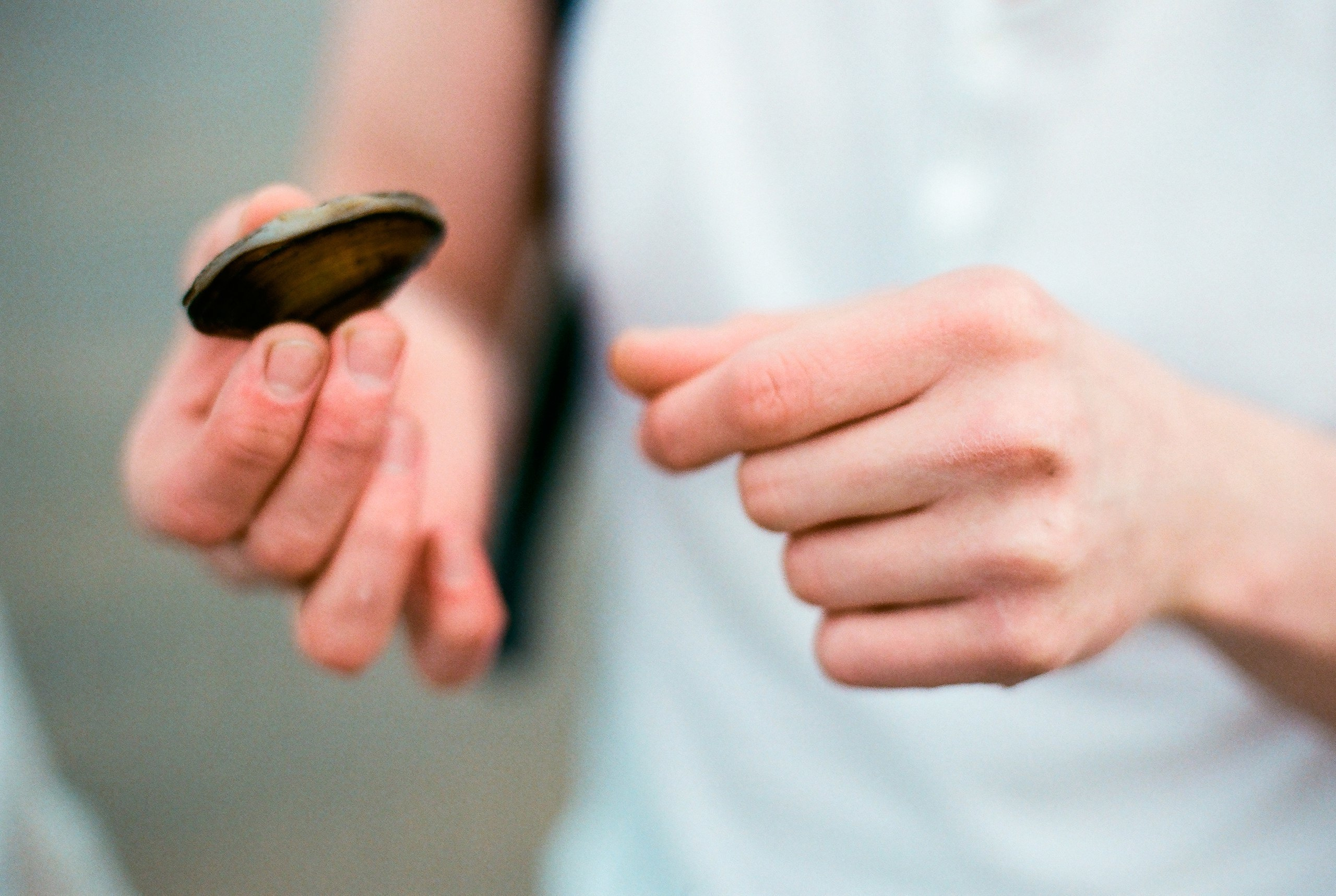 Радмил и Алена. Свадебный и семейный пленочный фотограф в Петербурге Истомина Ирина