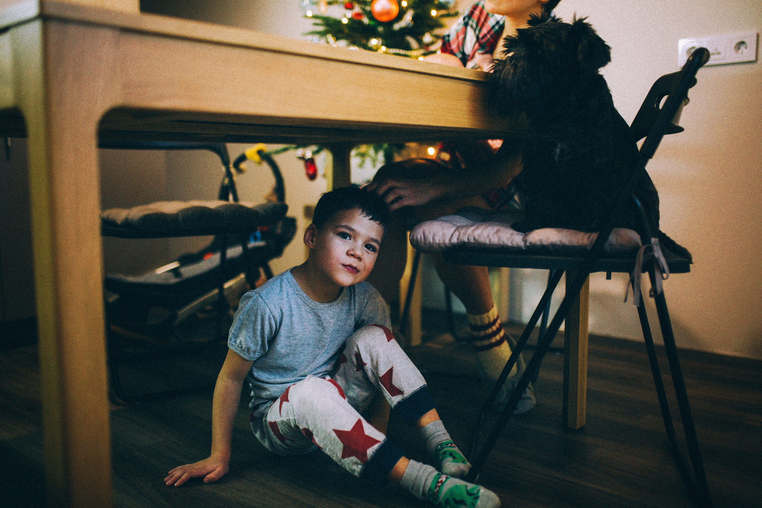 Лида Лёша Лия Юра и собакен Ева. Свадебный и семейный пленочный фотограф в Петербурге Истомина Ирина