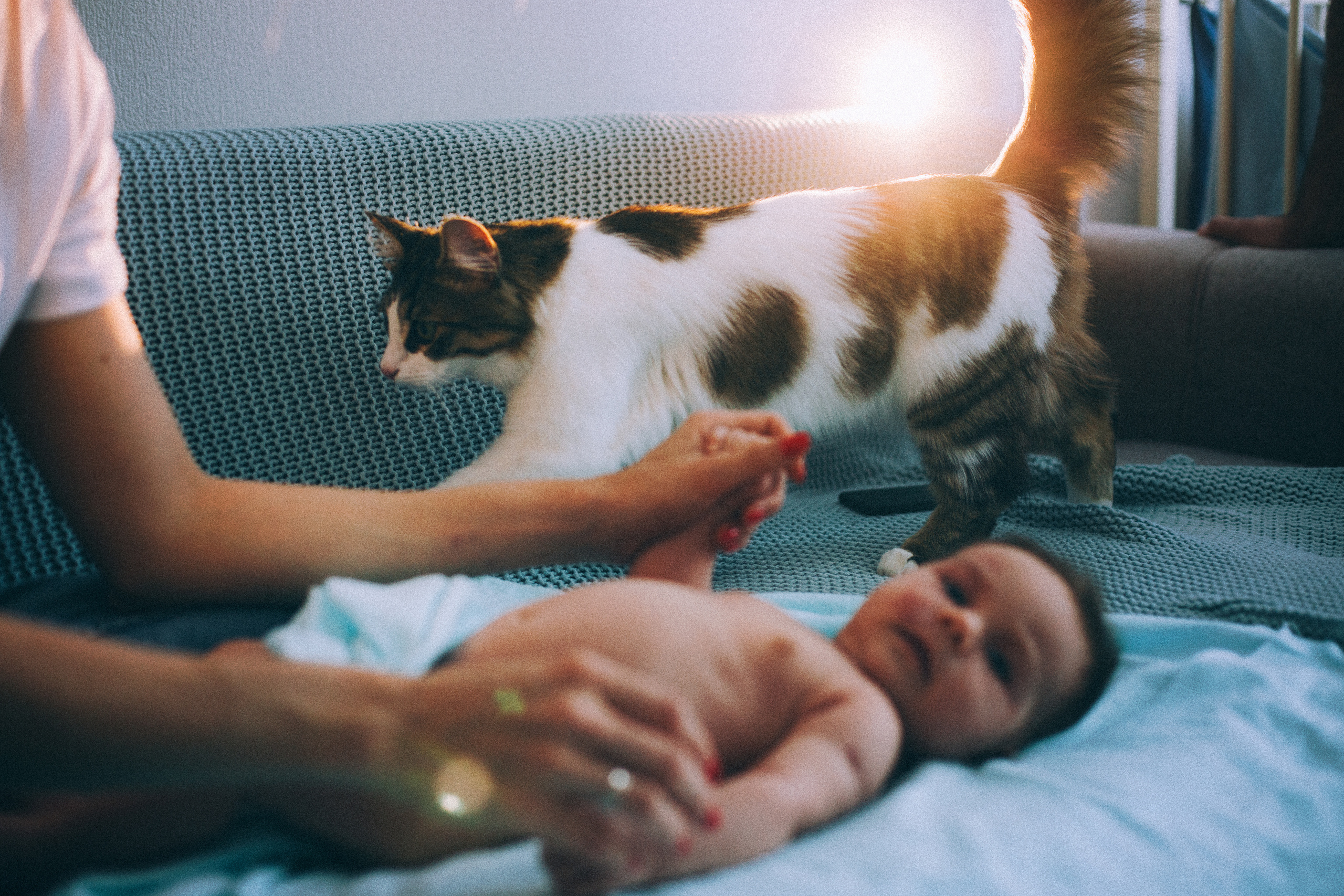 Лида Даня Сеня и Ларсик. Свадебный и семейный пленочный фотограф в Петербурге Истомина Ирина
