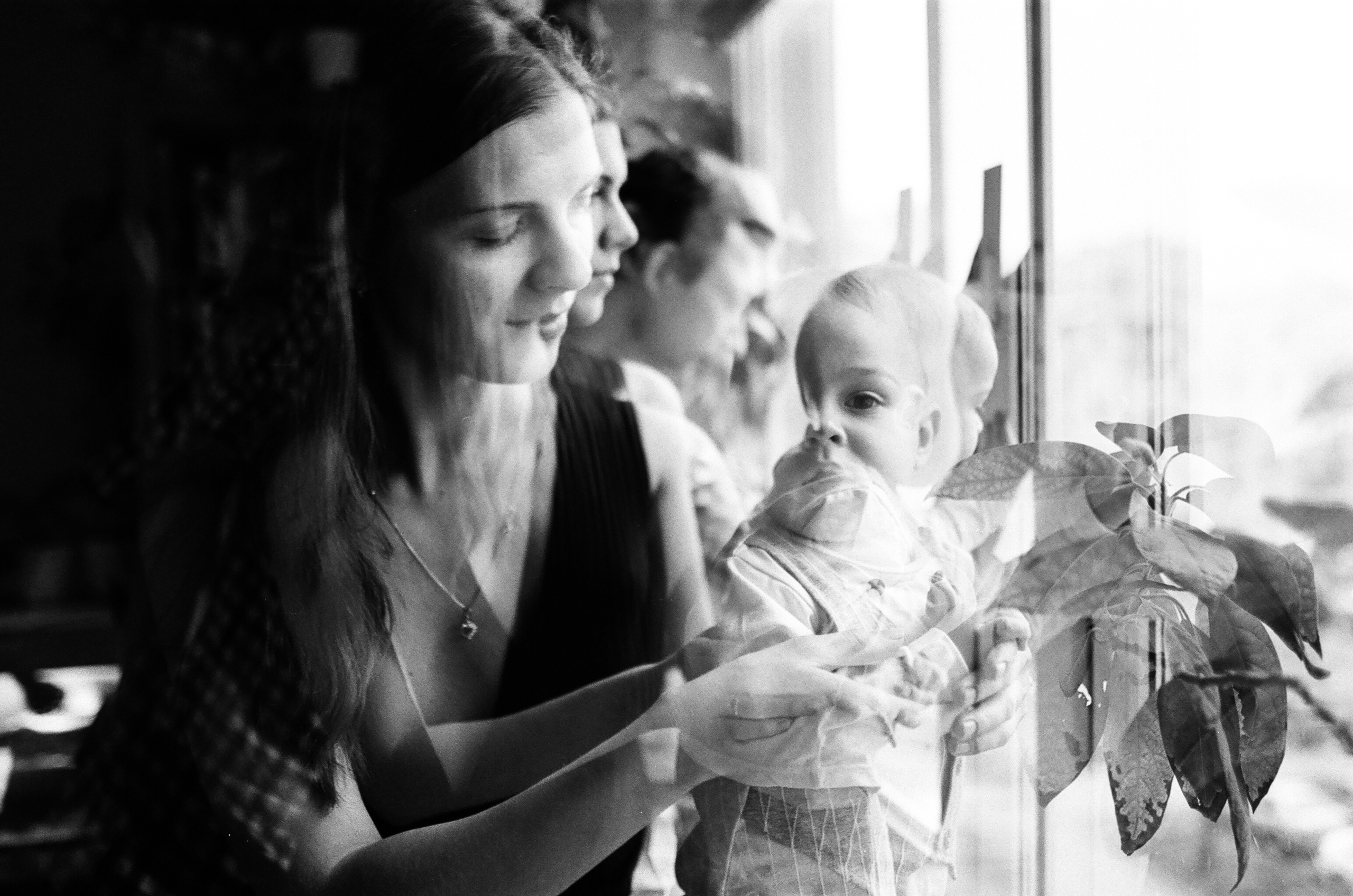 Настя Петя и Ваня. Свадебный и семейный пленочный фотограф в Петербурге Истомина Ирина