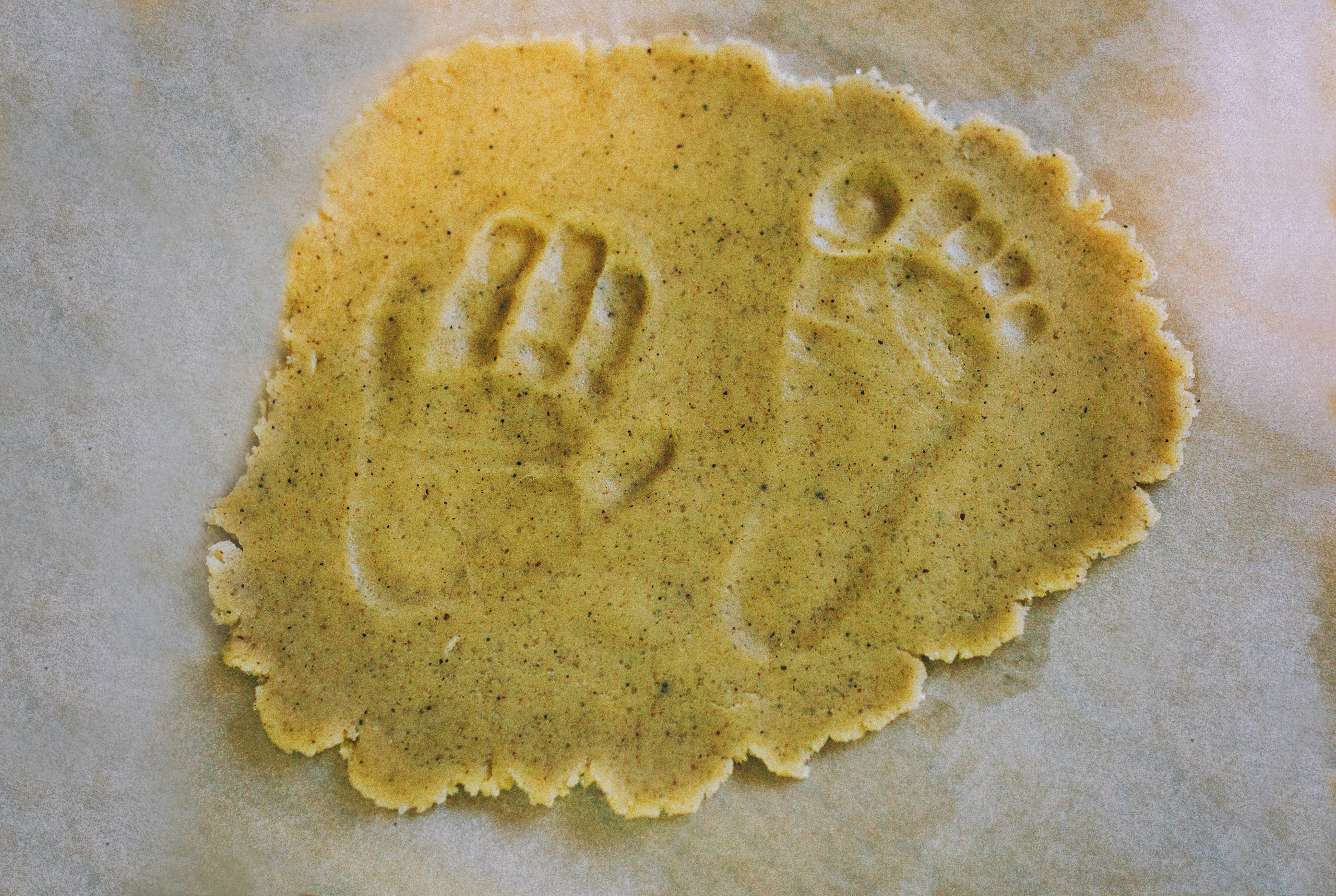 Лида Лёша Лия Юра и собакен Ева. Свадебный и семейный пленочный фотограф в Петербурге Истомина Ирина