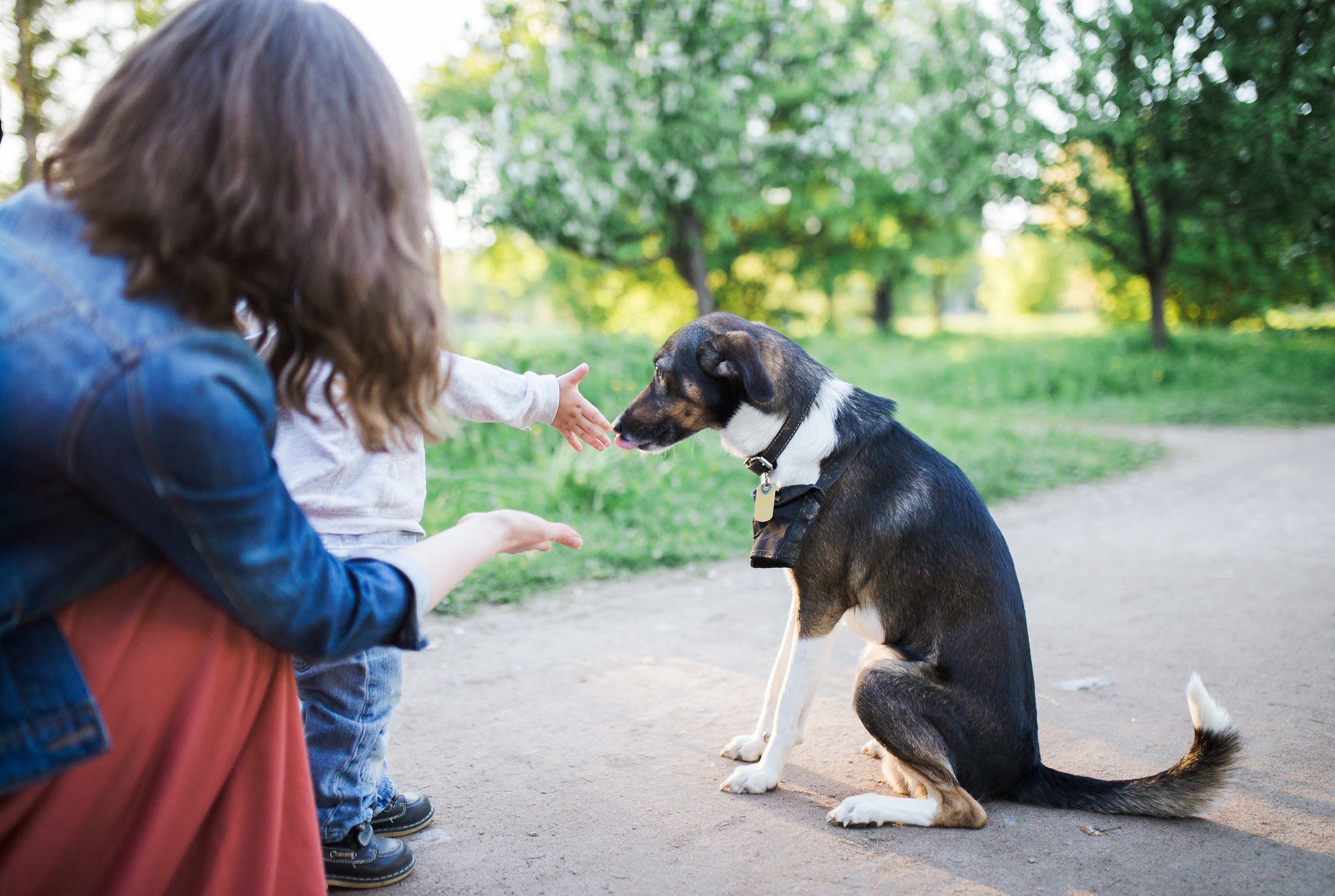 Лида Леша Юра и Рома. Свадебный и семейный пленочный фотограф в Петербурге Истомина Ирина