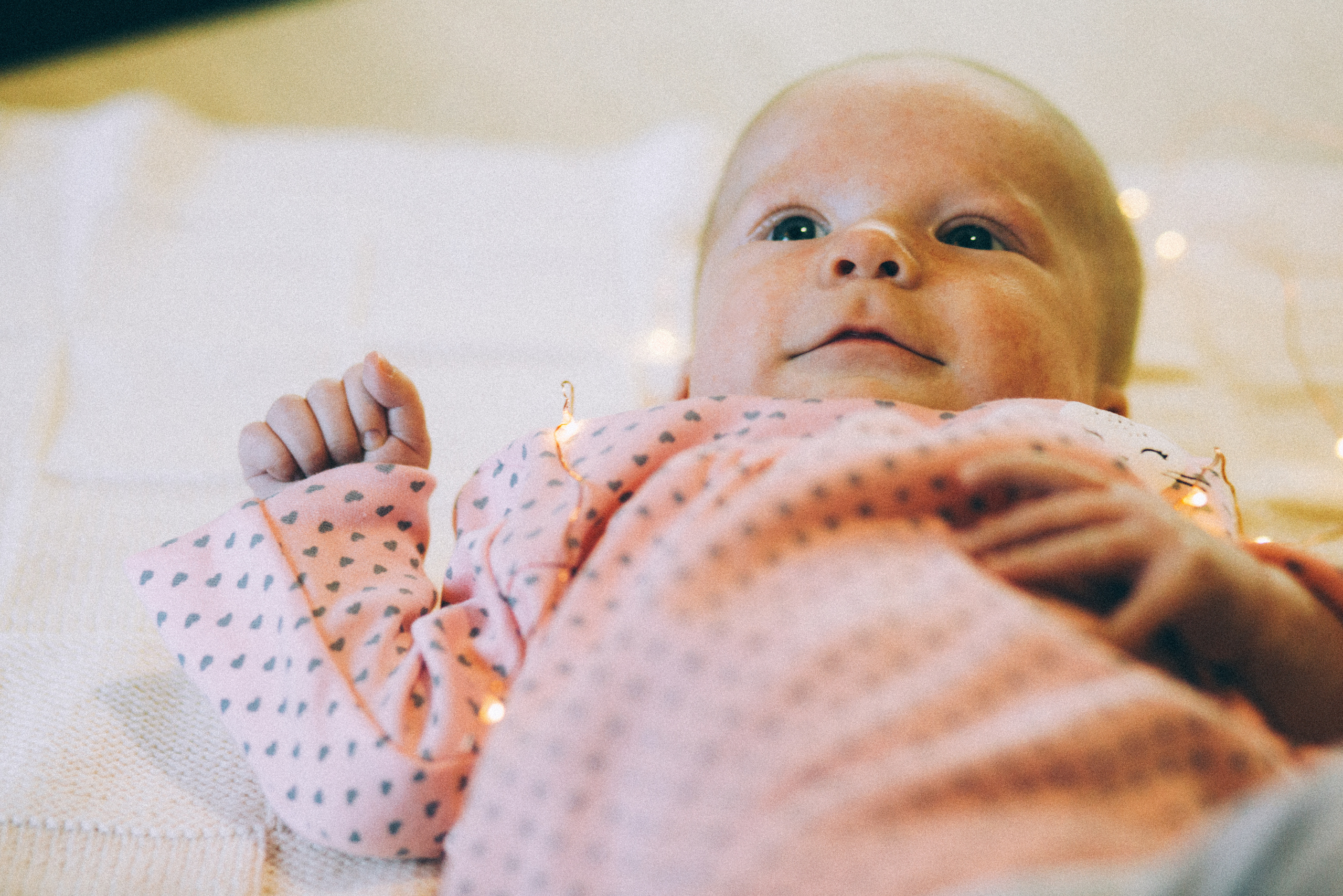 Лида Лёша Лия Юра и собакен Ева. Свадебный и семейный пленочный фотограф в Петербурге Истомина Ирина