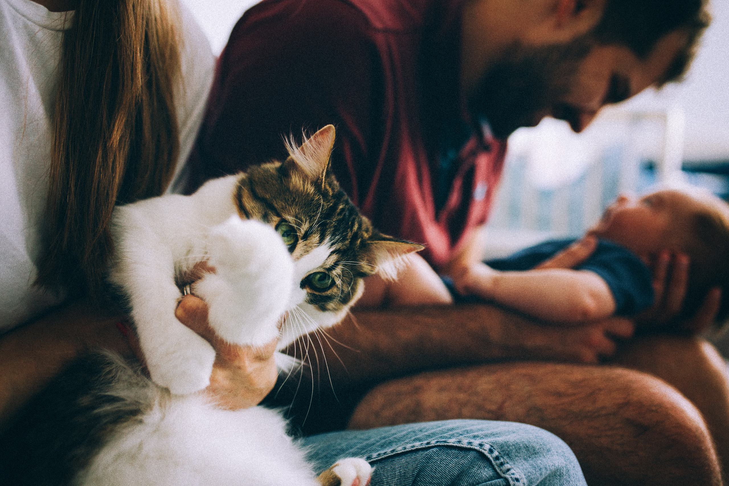 Лида Даня Сеня и Ларсик. Свадебный и семейный пленочный фотограф в Петербурге Истомина Ирина