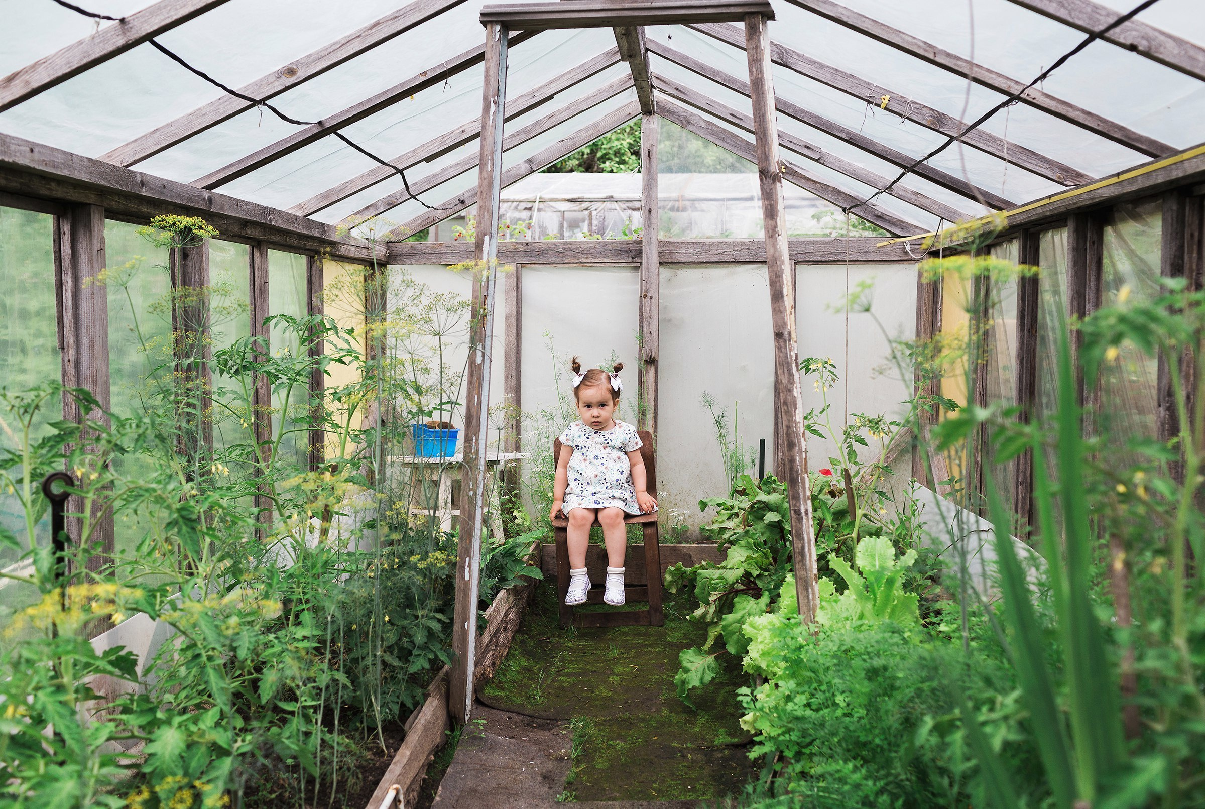 Наталья Саша Тёма и Даша. Свадебный и семейный пленочный фотограф в Петербурге Истомина Ирина