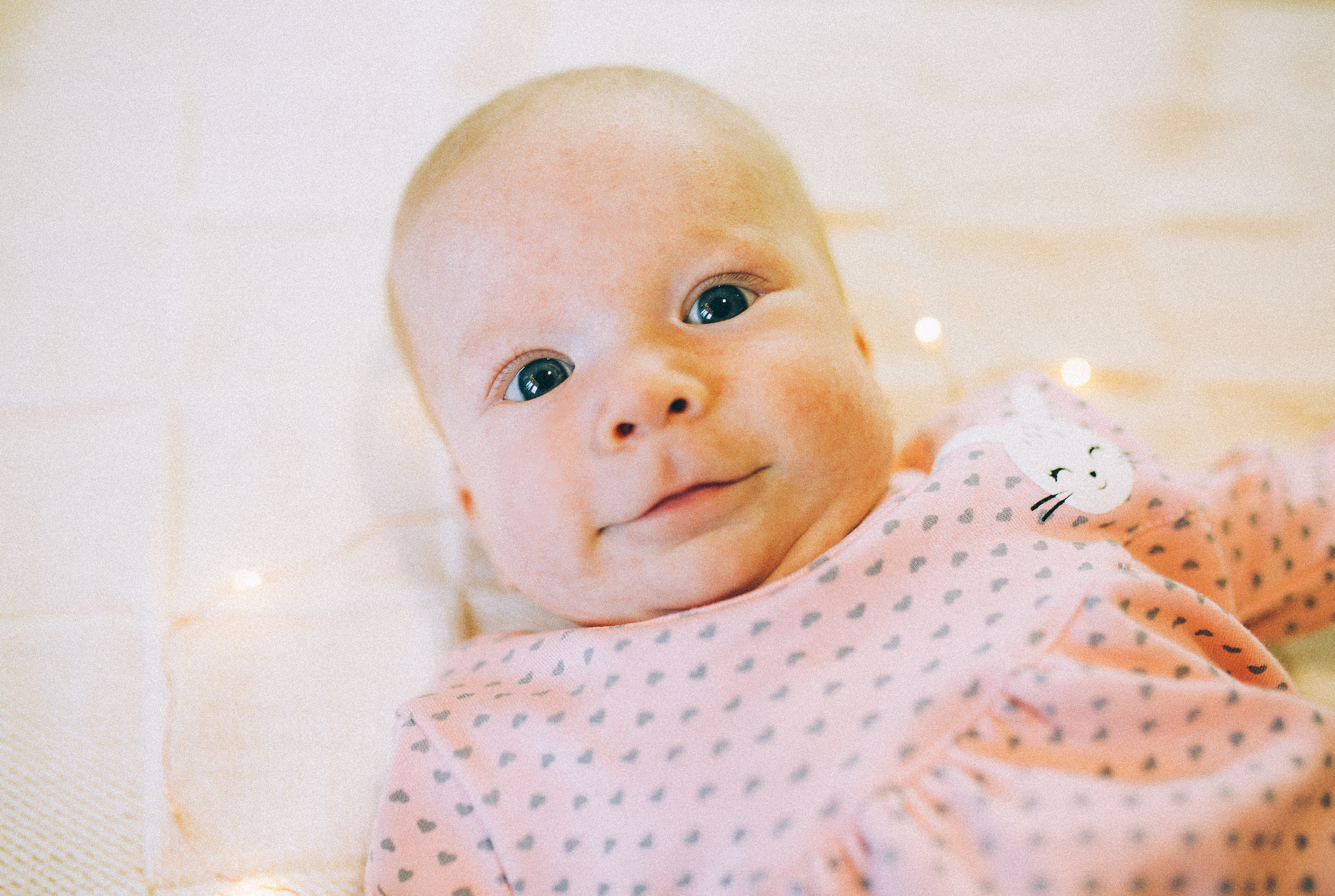 Лида Лёша Лия Юра и собакен Ева. Свадебный и семейный пленочный фотограф в Петербурге Истомина Ирина
