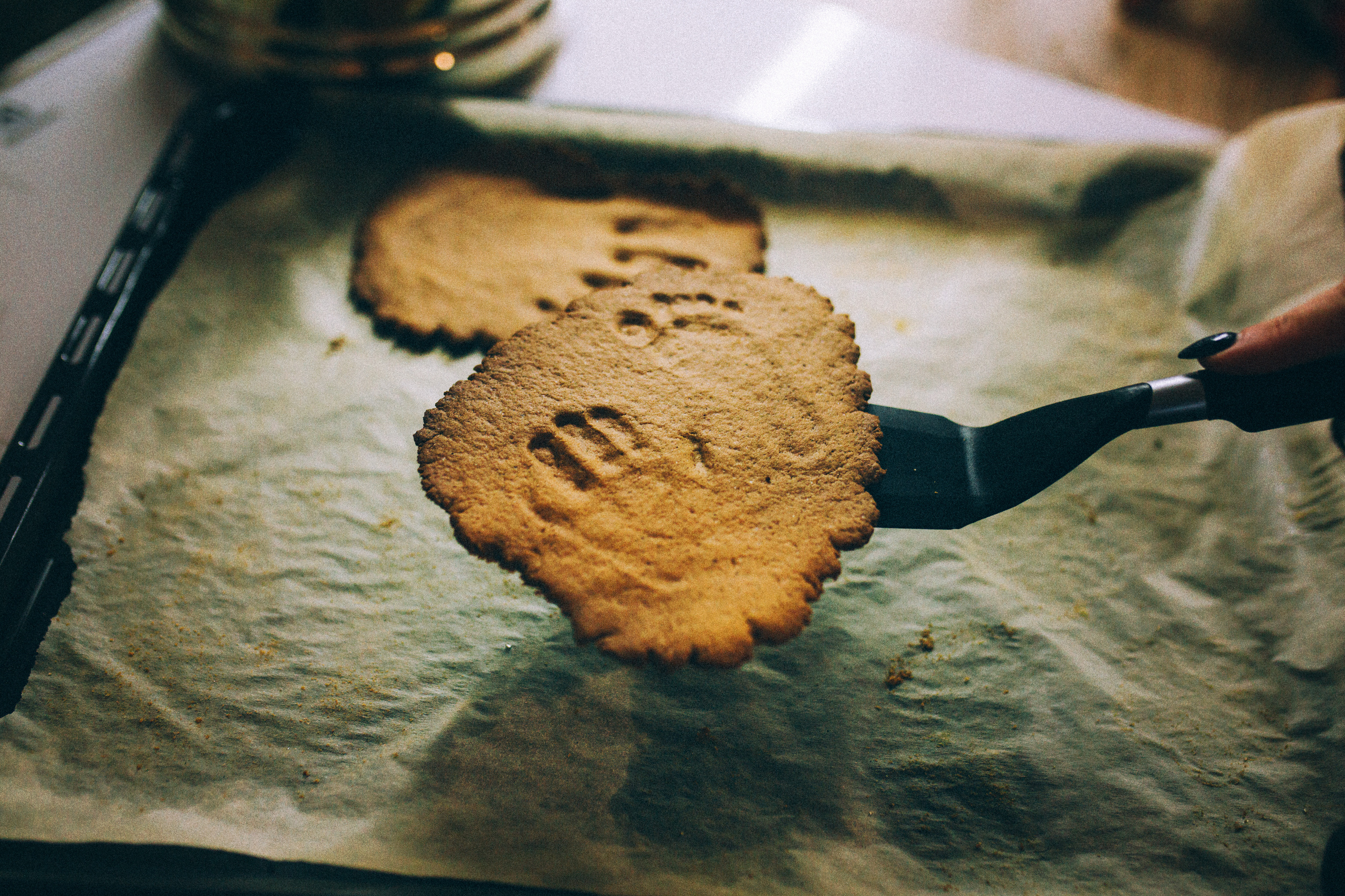 Лида Лёша Лия Юра и собакен Ева. Свадебный и семейный пленочный фотограф в Петербурге Истомина Ирина