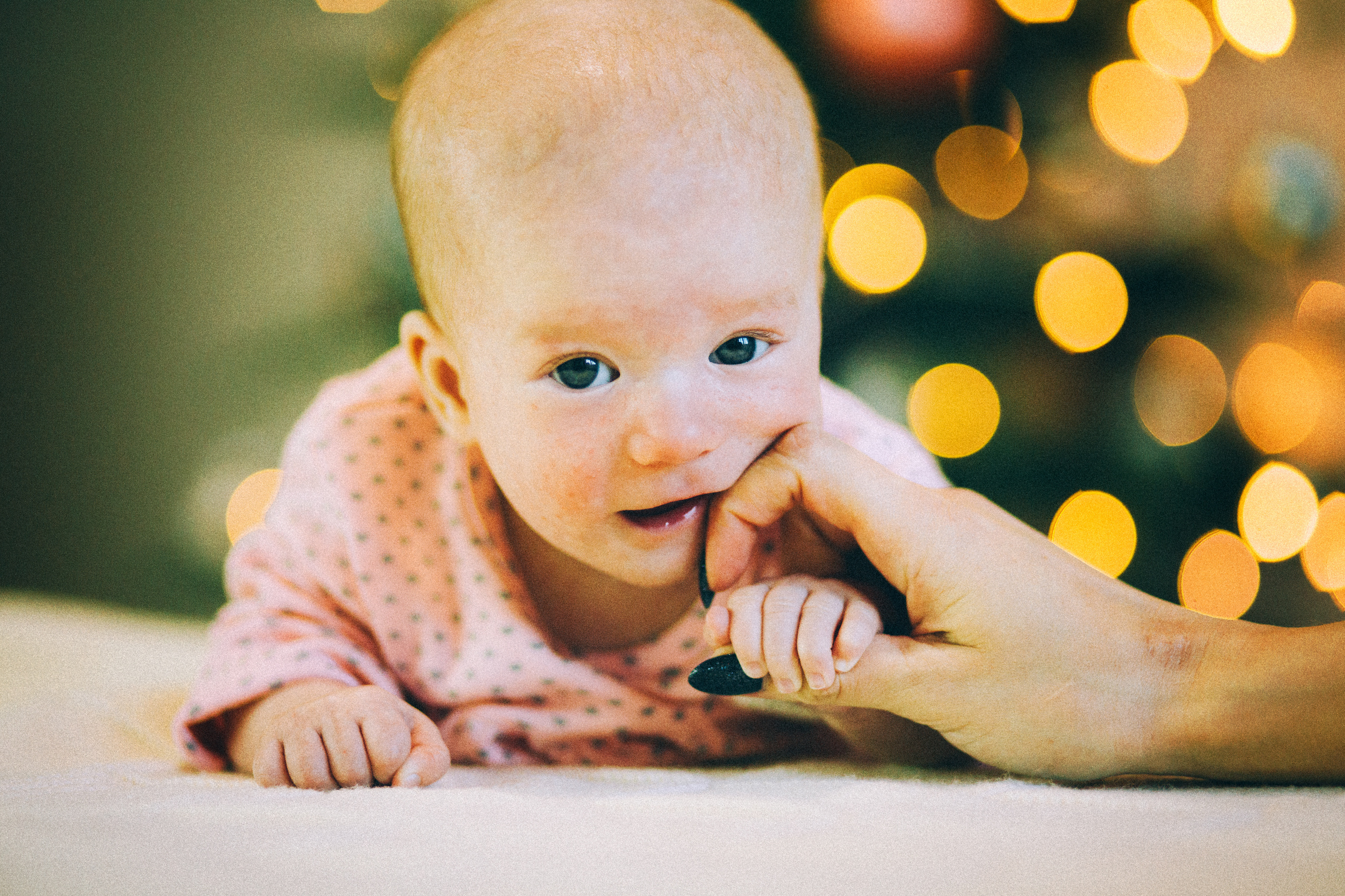 Лида Лёша Лия Юра и собакен Ева. Свадебный и семейный пленочный фотограф в Петербурге Истомина Ирина