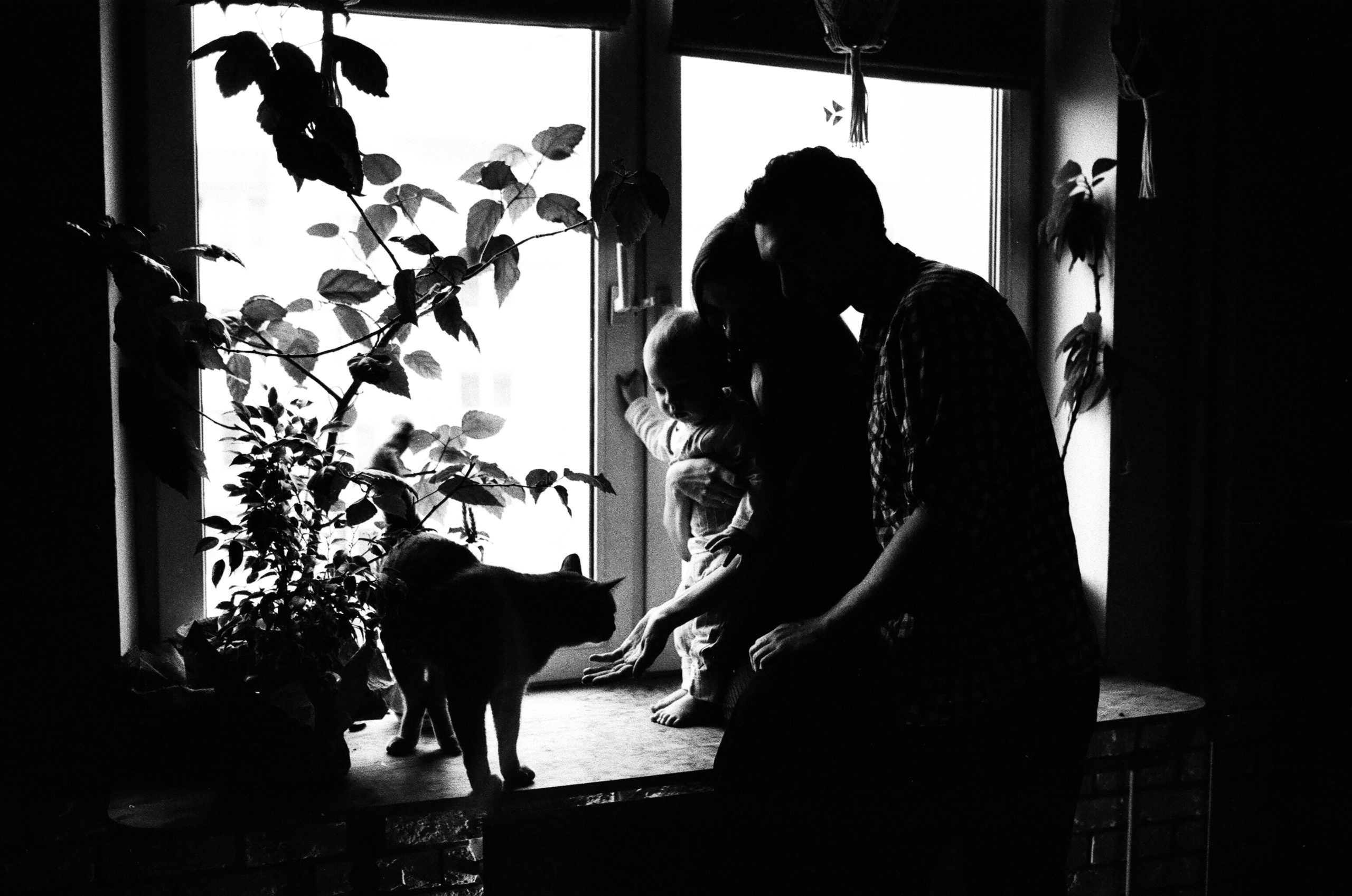 Настя Петя и Ваня. Свадебный и семейный пленочный фотограф в Петербурге Истомина Ирина