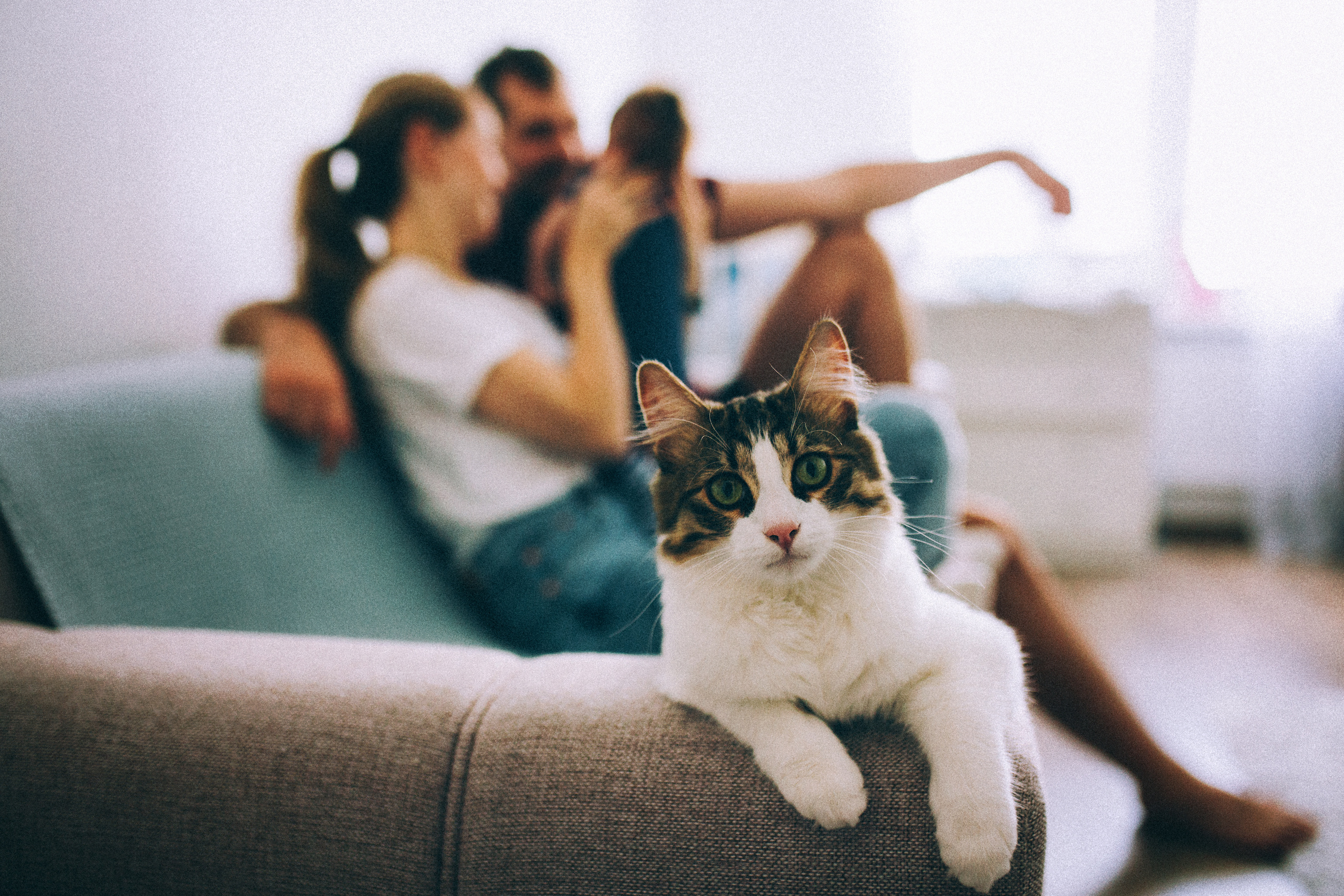 Лида Даня Сеня и Ларсик. Свадебный и семейный пленочный фотограф в Петербурге Истомина Ирина