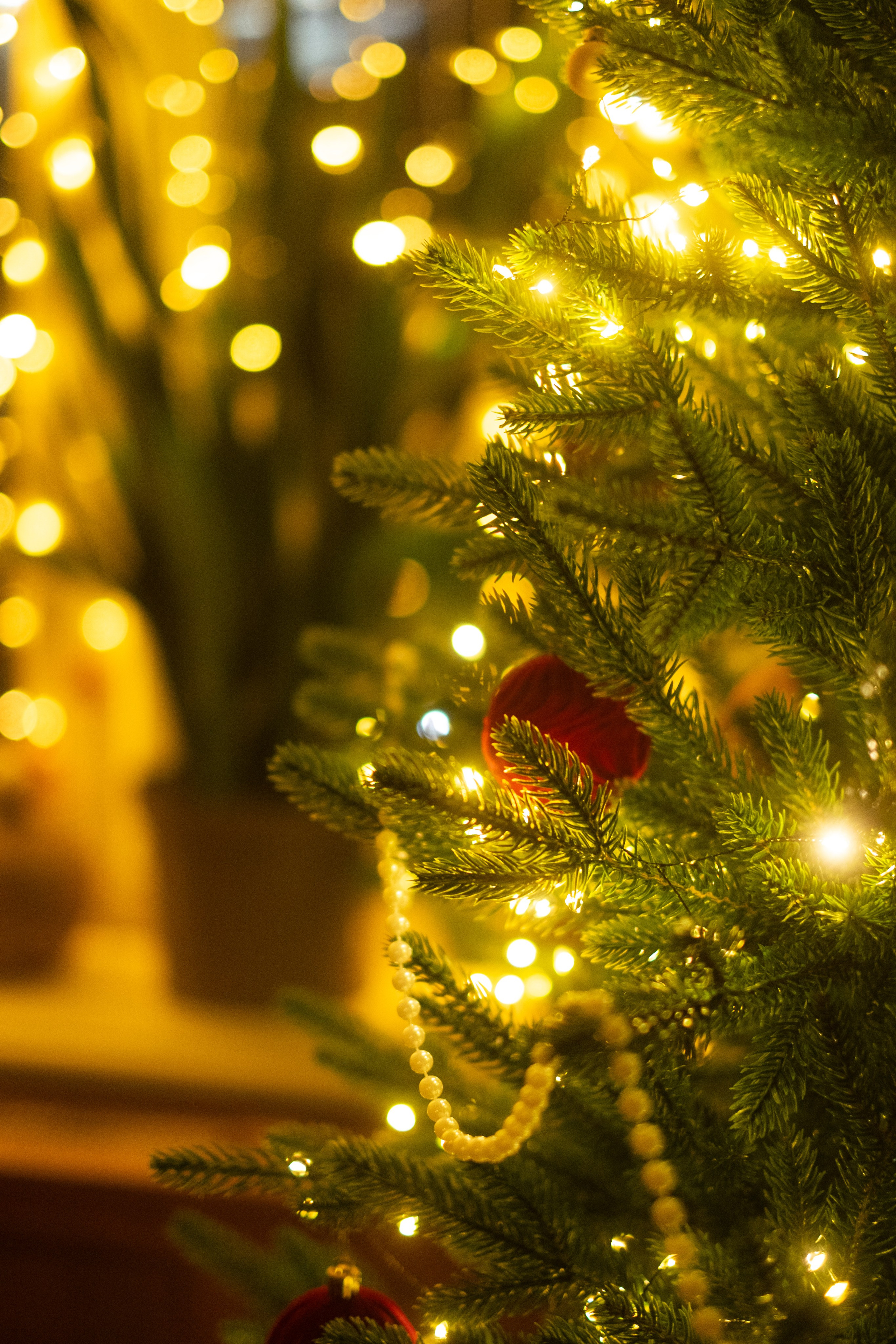 Живая Студия. Фототерапия «Пульс СЧАСТЬЯ»