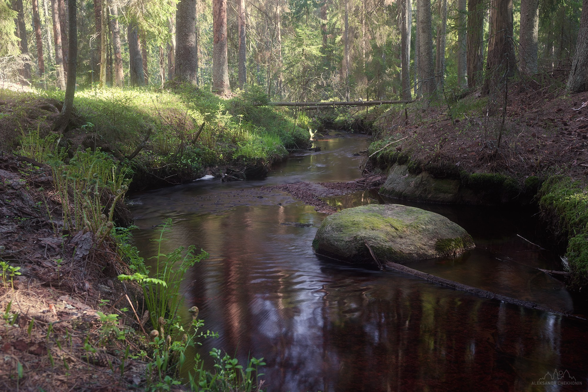 Пейзаж. Пейзажный фотограф Александр Чехонин