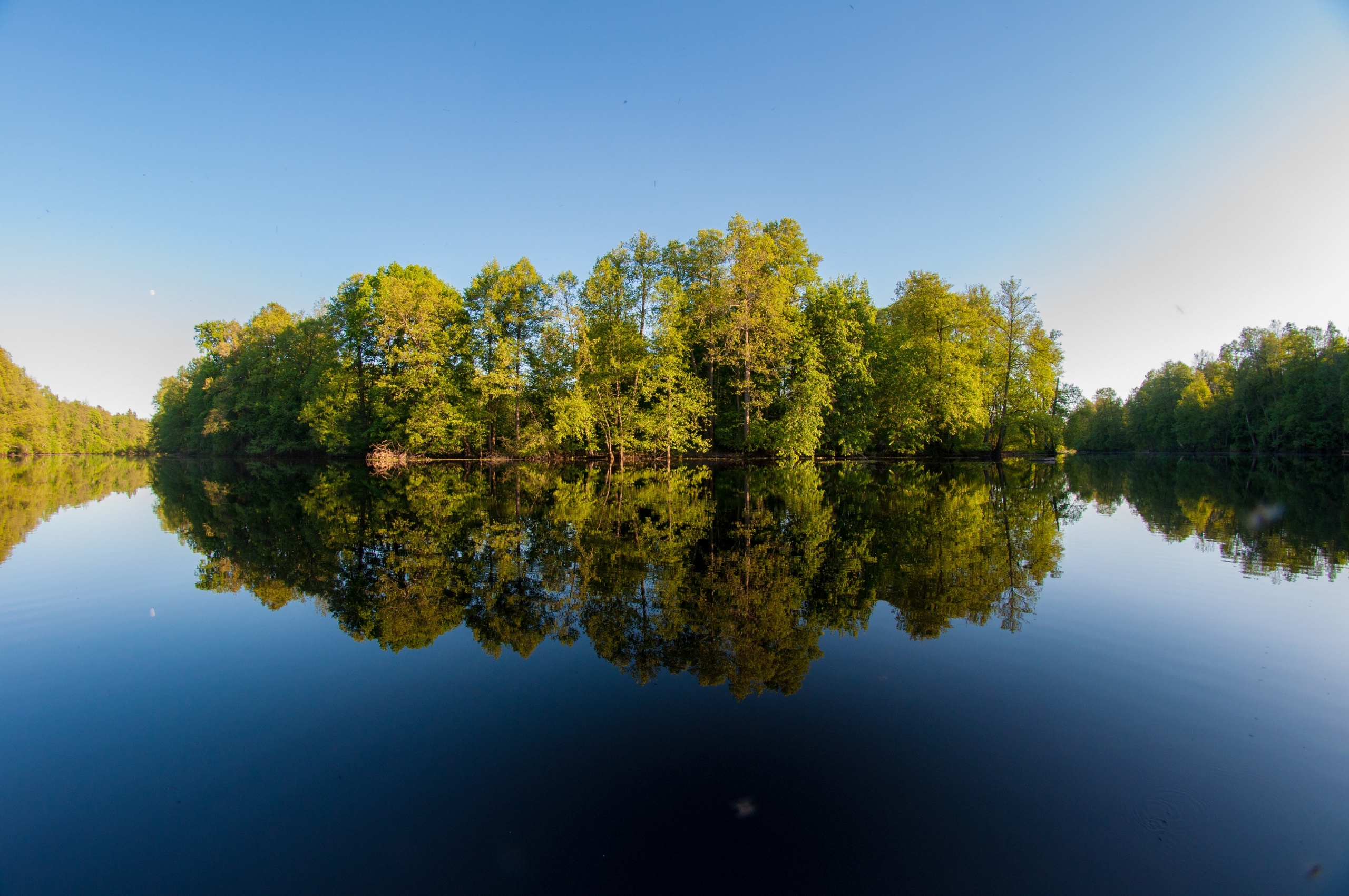 Природа. Фотограф Шариков Илья