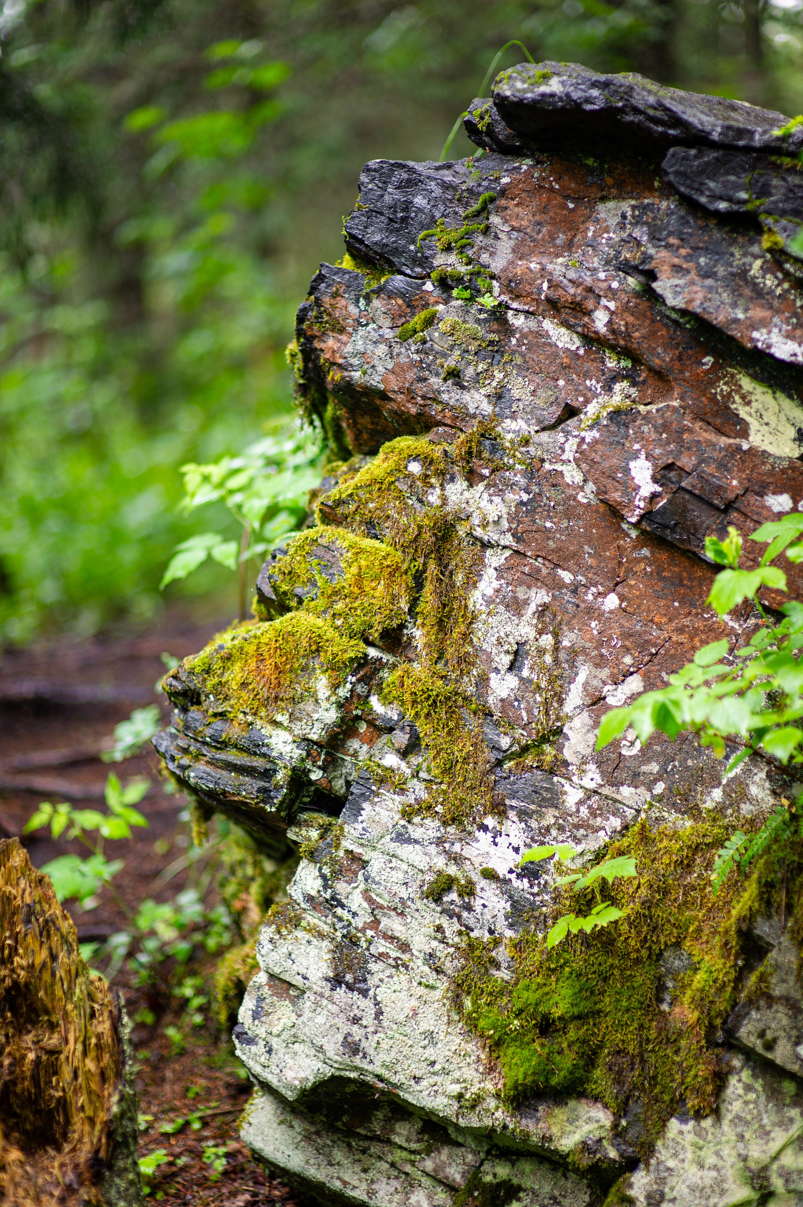 Национальный парк Таганай. Фотограф Шариков Илья