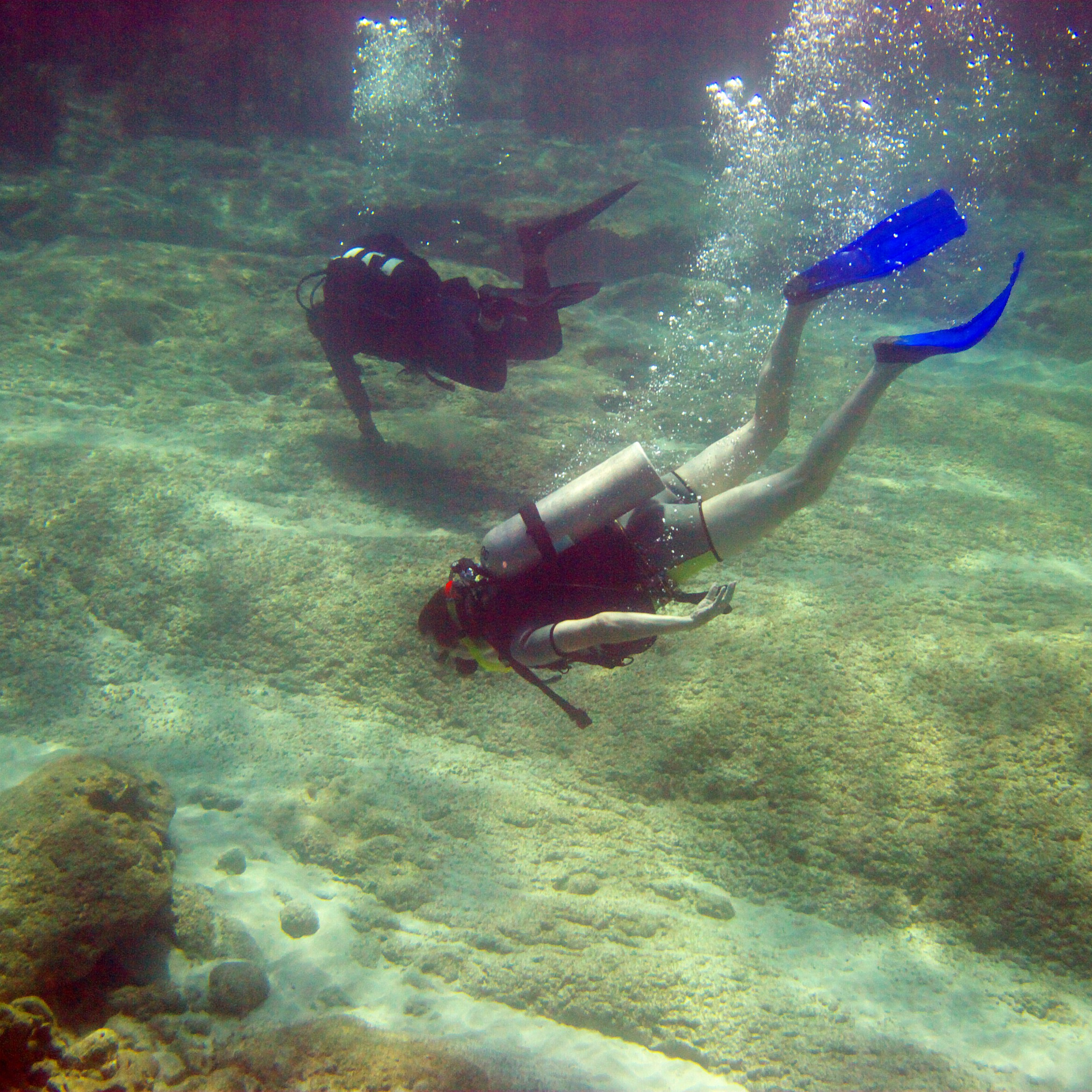 Под водой. Миша Печёнкин | фотография