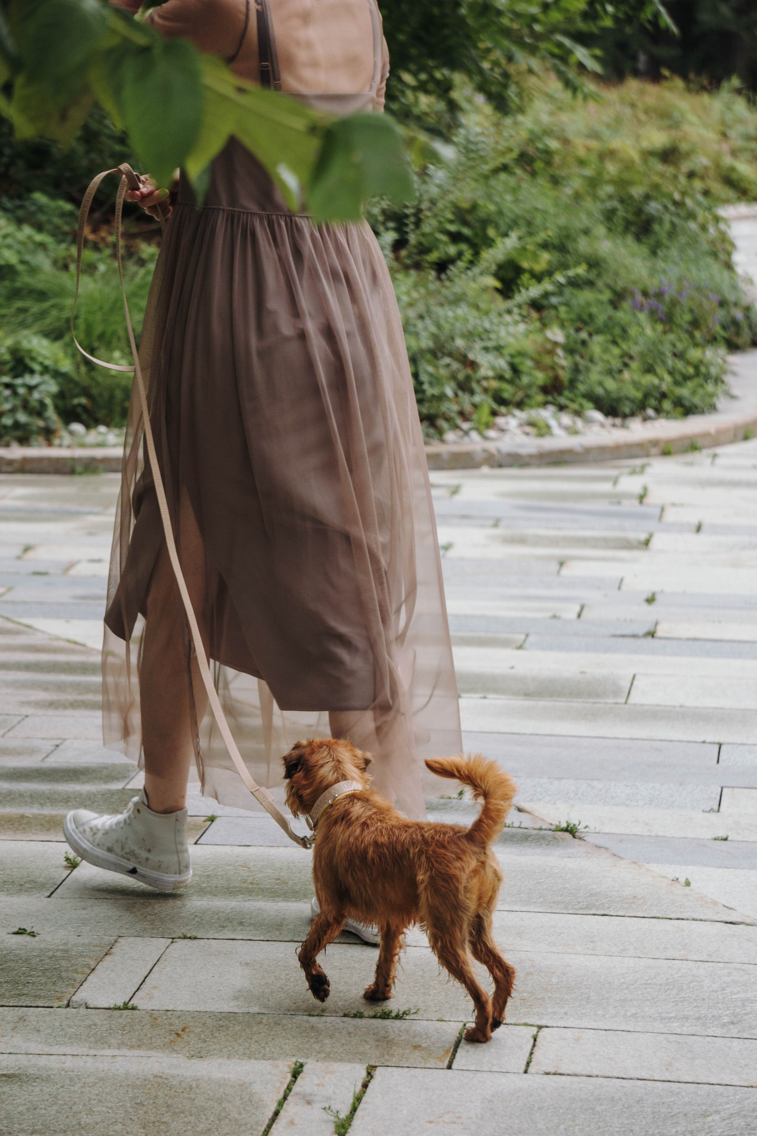 Наташа, Сережа и Хавьер. Фотограф-анималист Ксения Воробьева, Москва