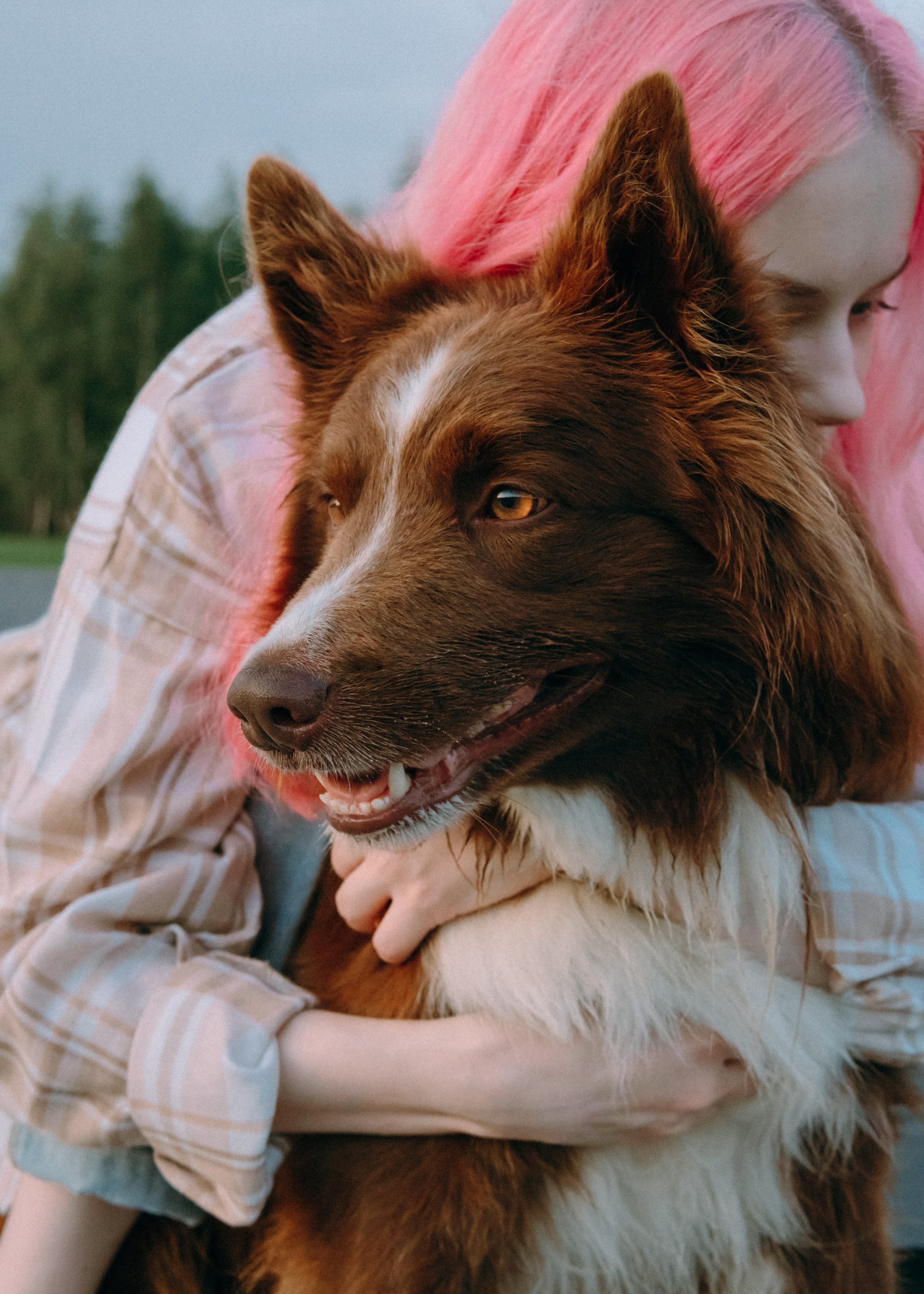 Виолетта, Лила и Питер. Фотограф-анималист Ксения Воробьева, Москва