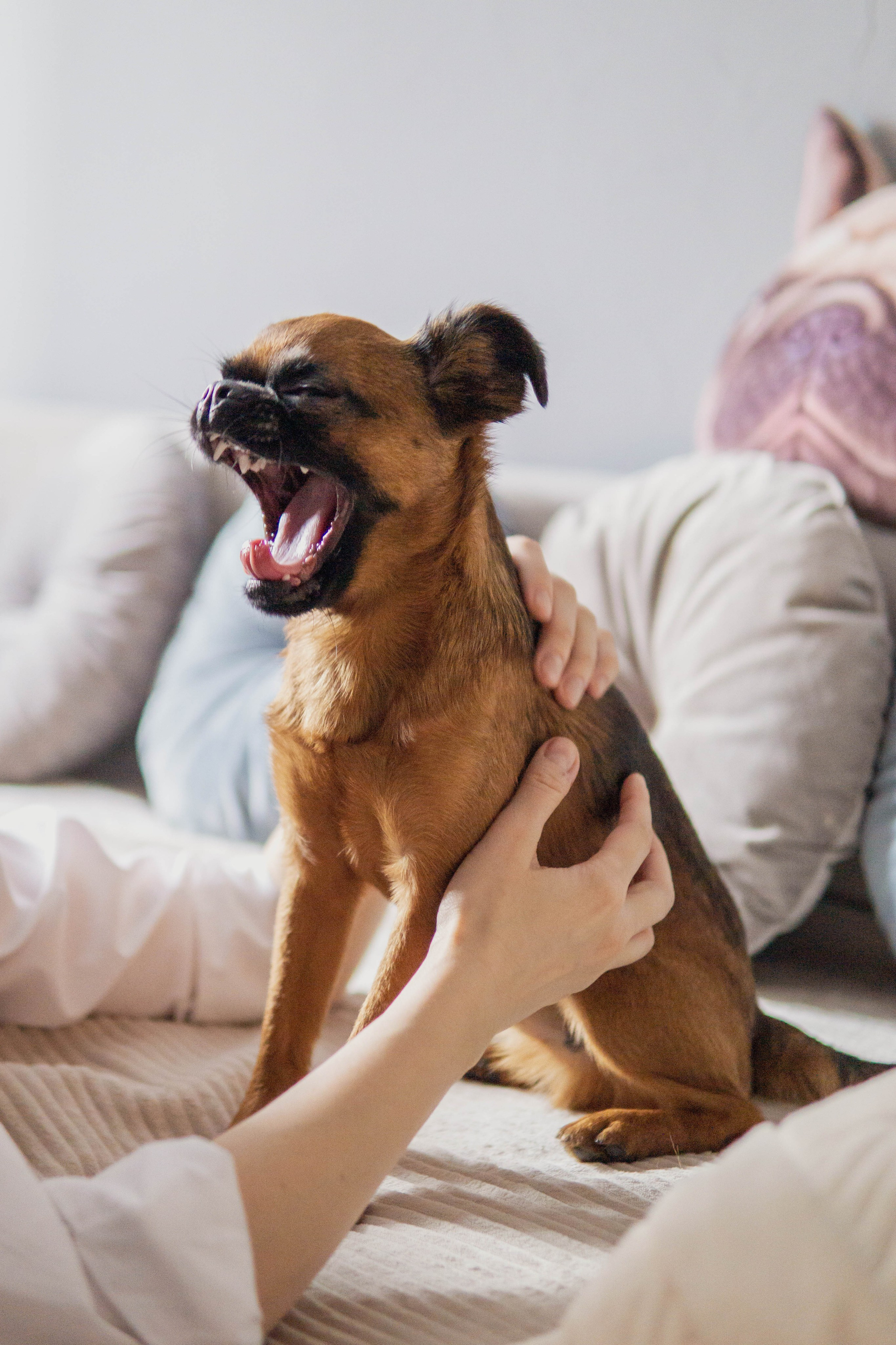 Надя и Ефим. Фотограф-анималист Ксения Воробьева, Москва