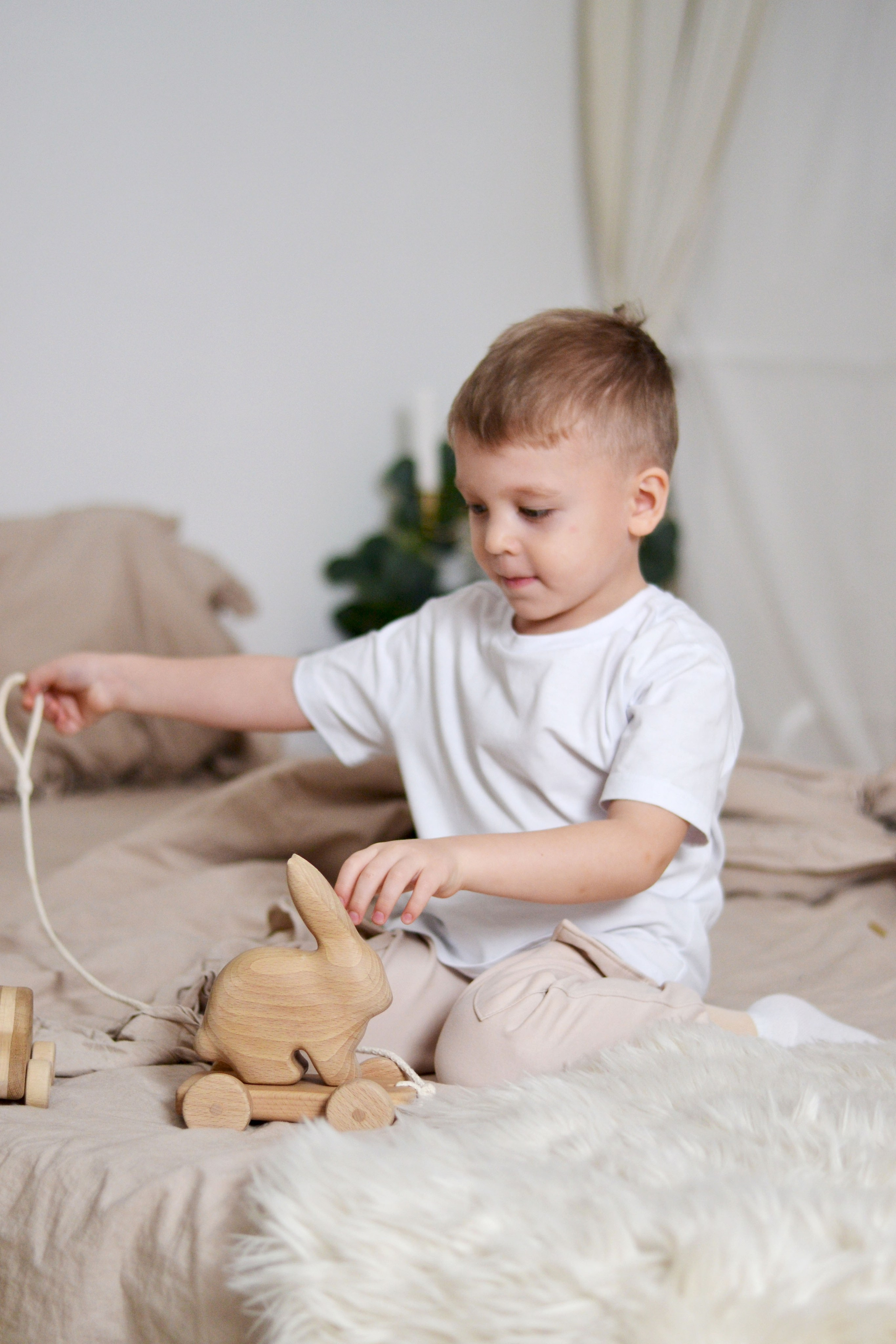 Новогодняя. Фотограф Ольга Дмитриева. Новосибирск