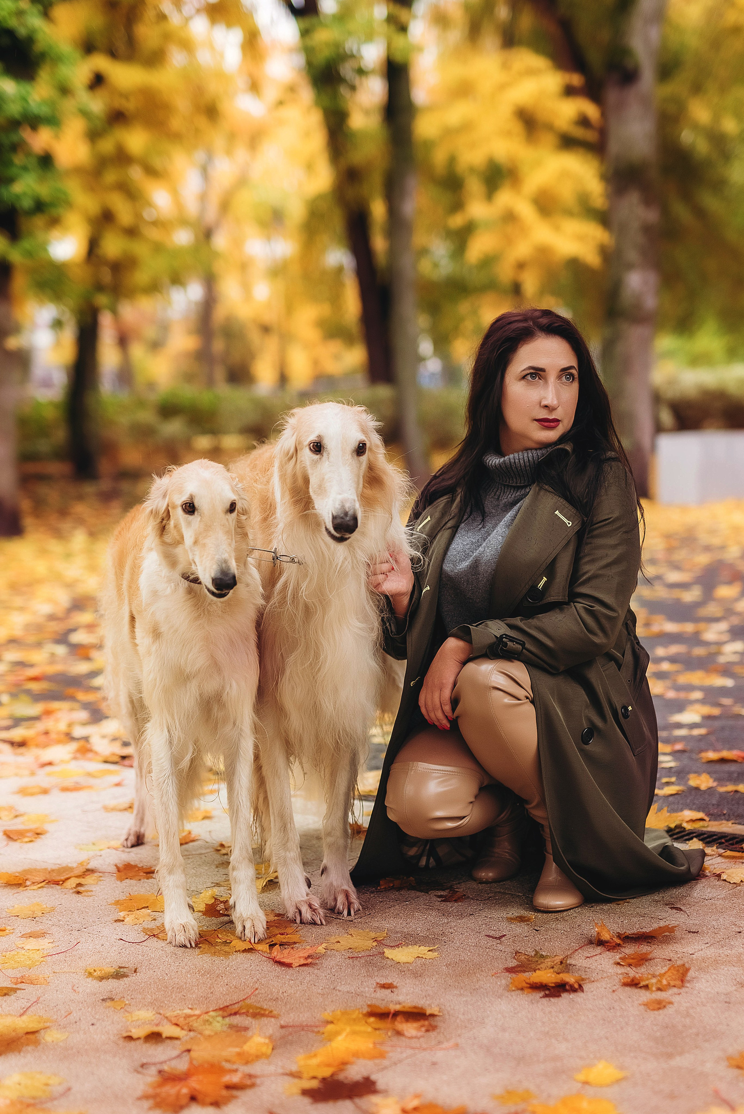 Фотосессия с борзыми. Семейный, детский фотограф в Воронеже Анна Никитина