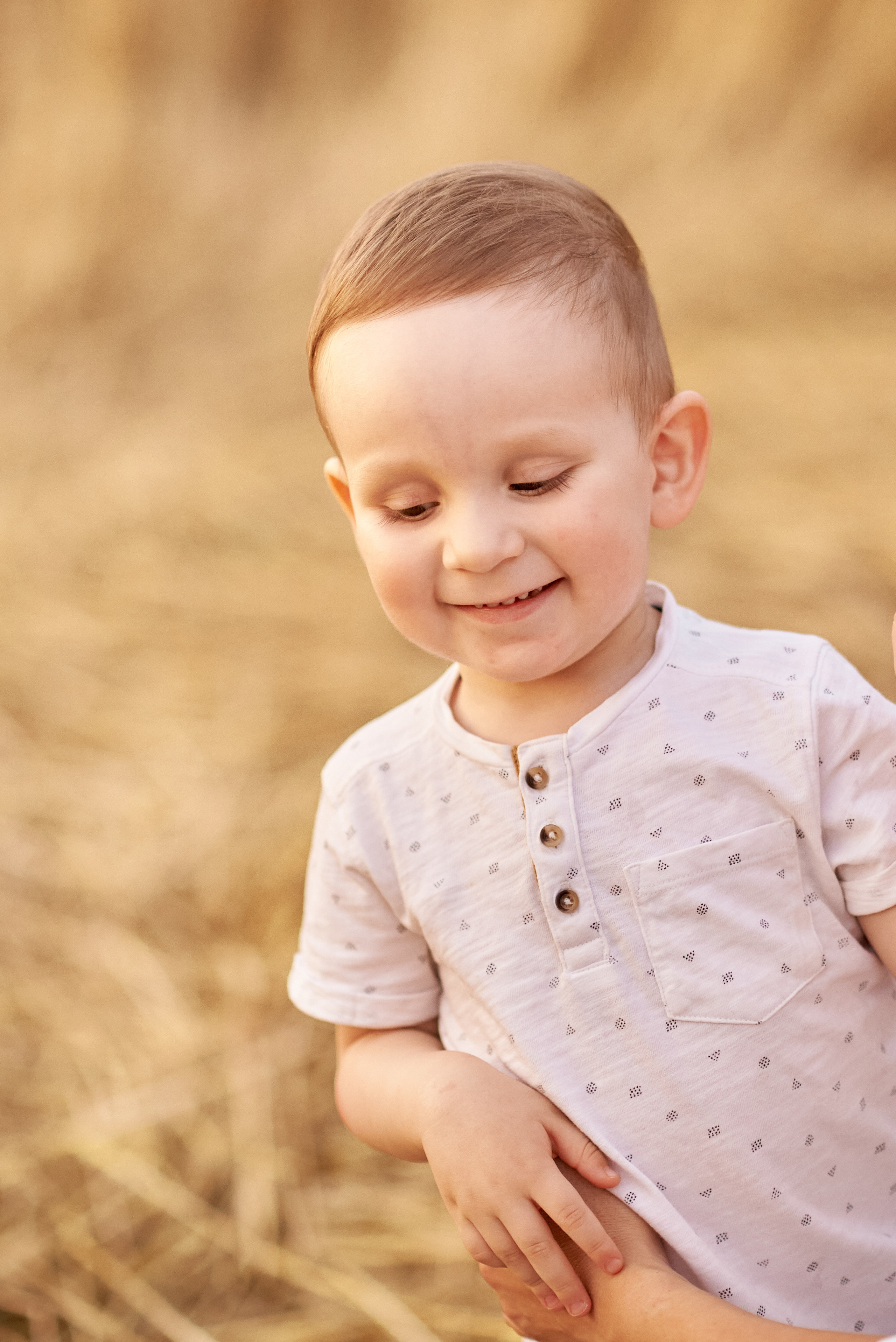 В пшеничном поле. Семейный и детский фотограф в г. Ногинске Ангелина Хасанова