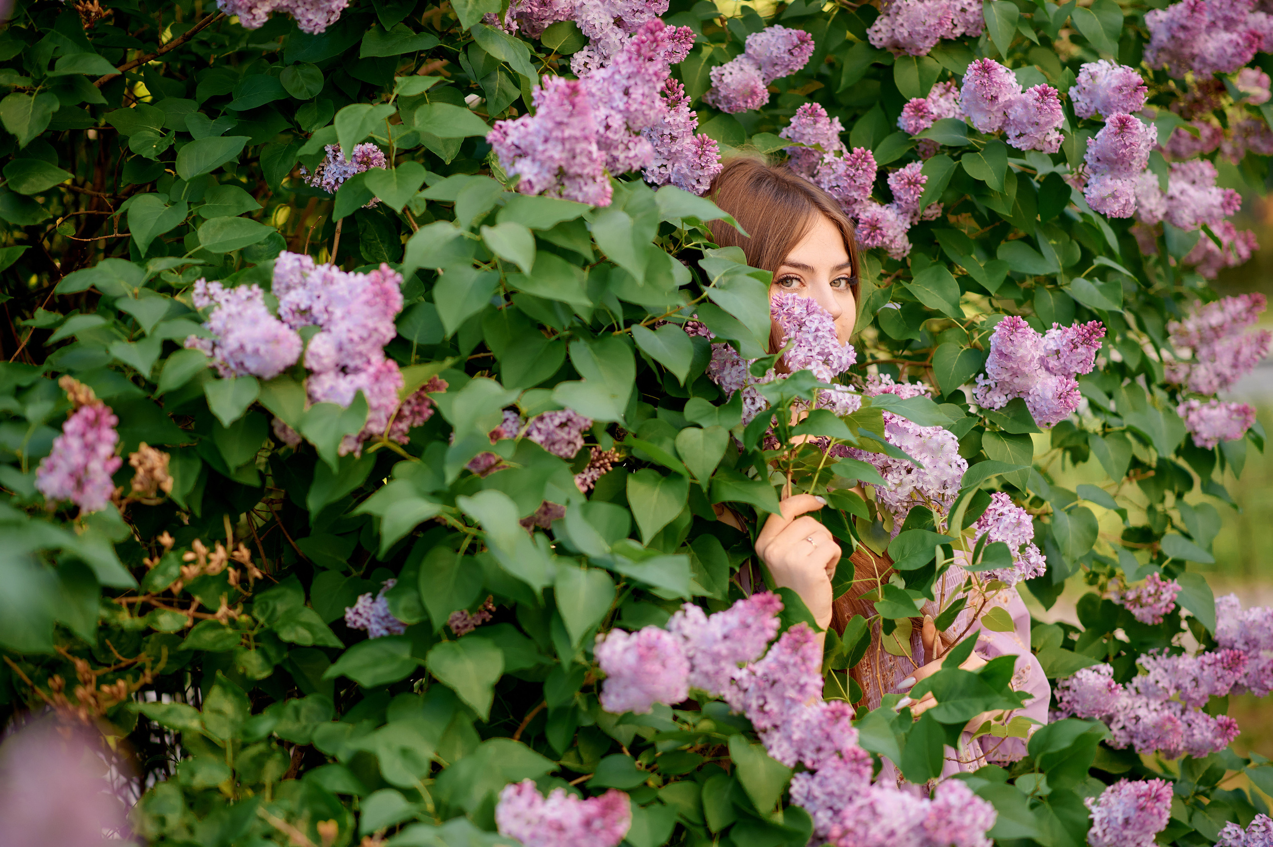 Сирень. Семейный и детский фотограф в г. Ногинске Ангелина Хасанова