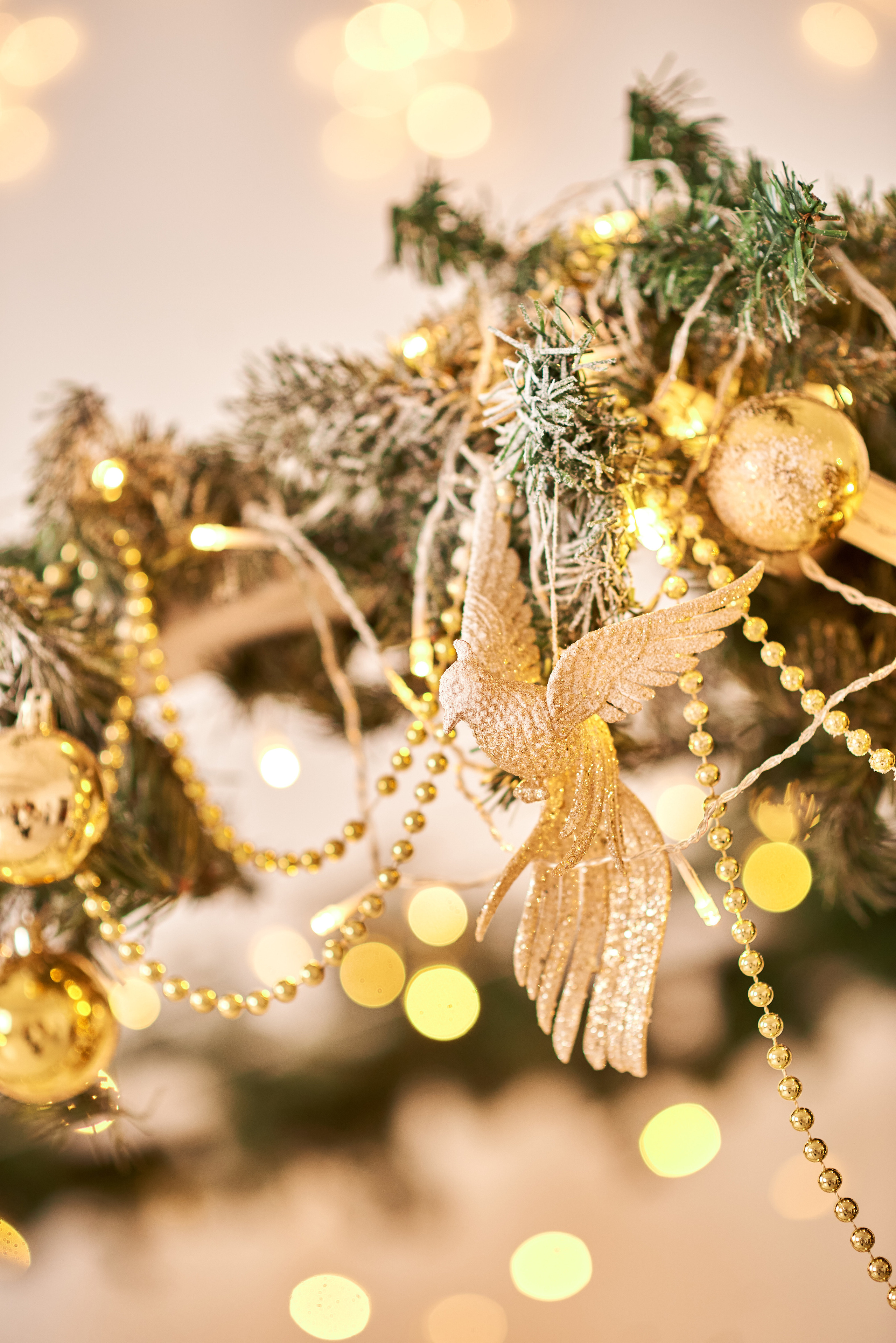 Новогодняя история. Семейный и детский фотограф в г. Ногинске Ангелина Хасанова