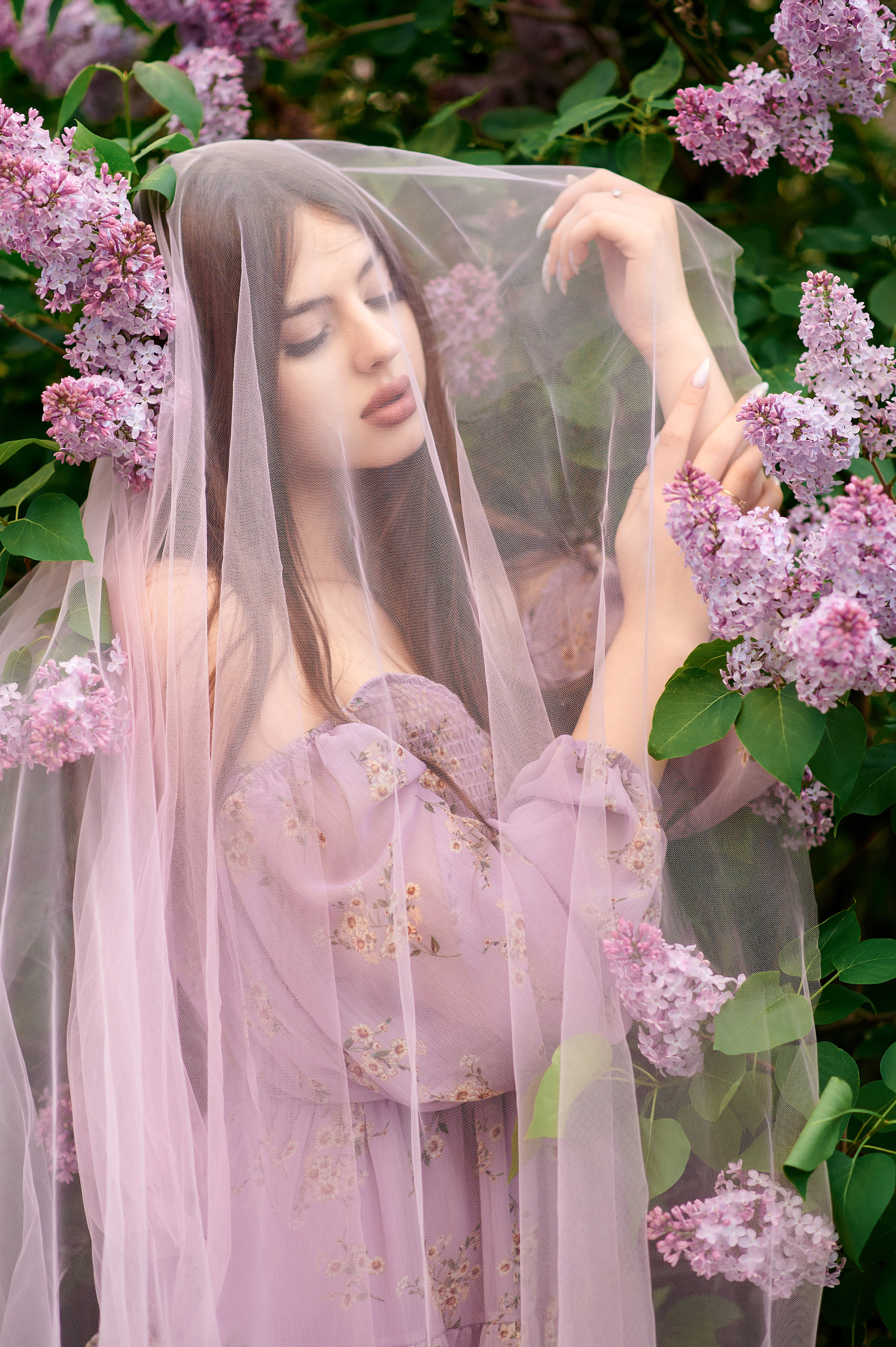 Сирень. Семейный и детский фотограф в г. Ногинске Ангелина Хасанова