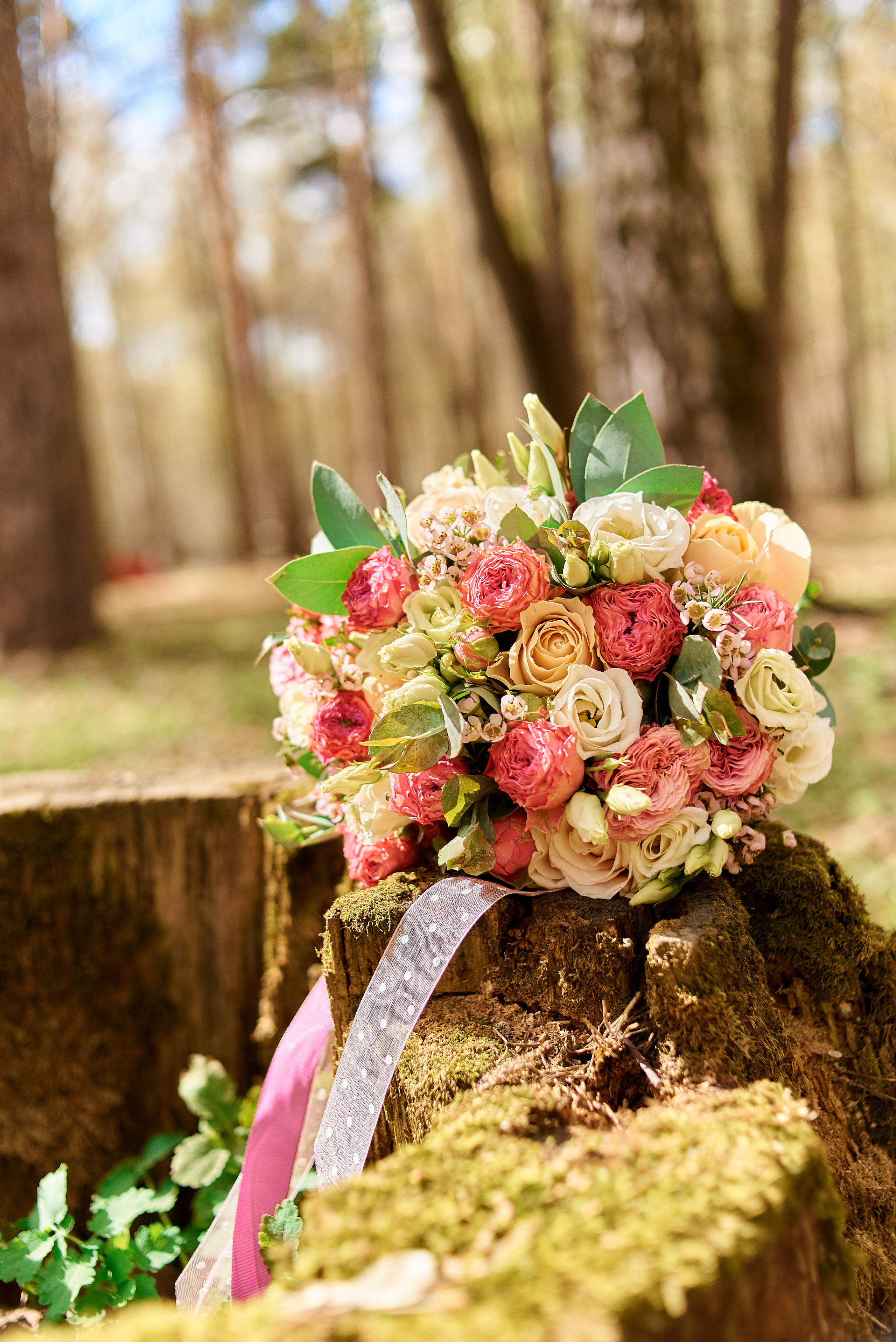 С & В. Семейный и детский фотограф в г. Ногинске Ангелина Хасанова