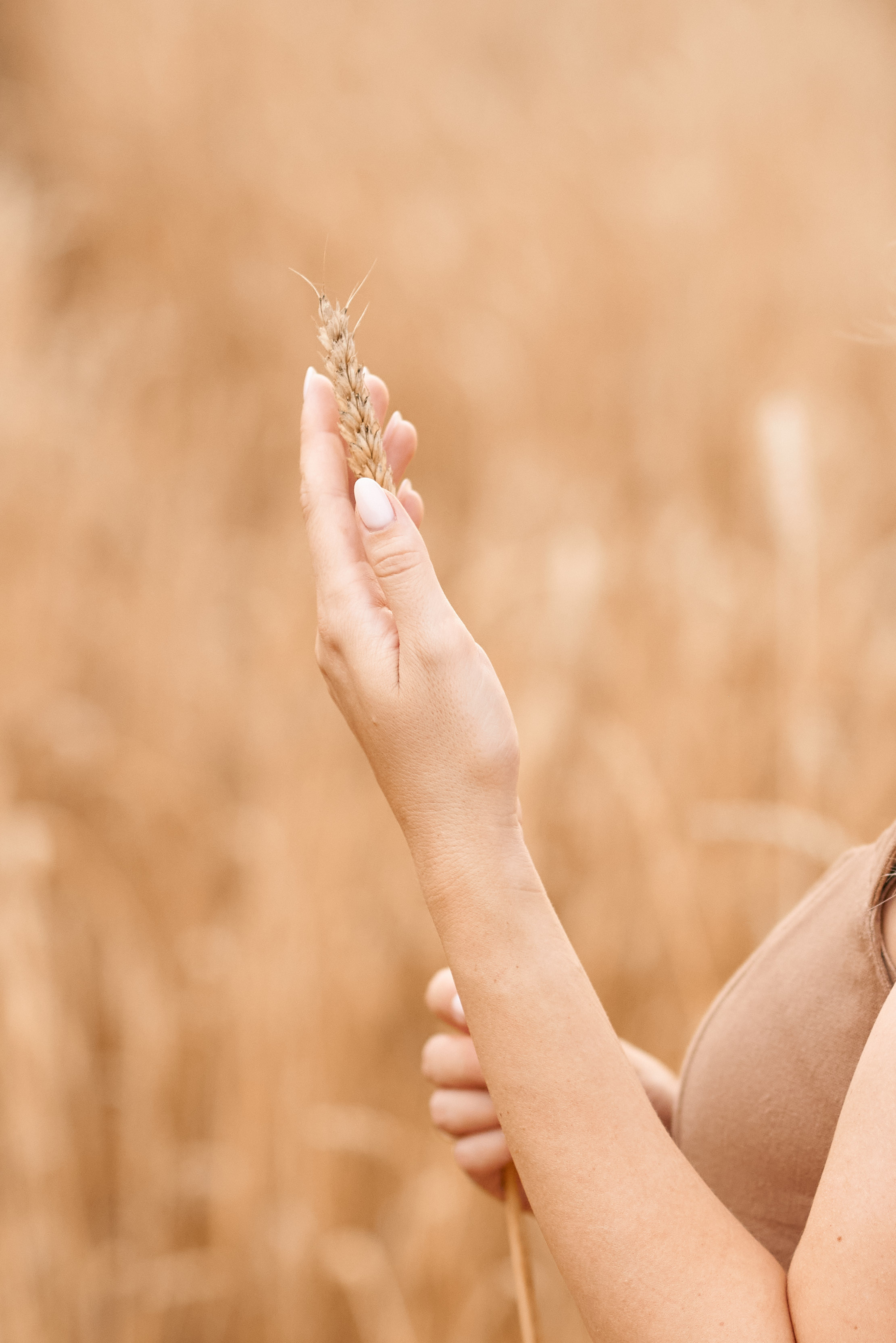 В пшеничном поле. Семейный и детский фотограф в г. Ногинске Ангелина Хасанова
