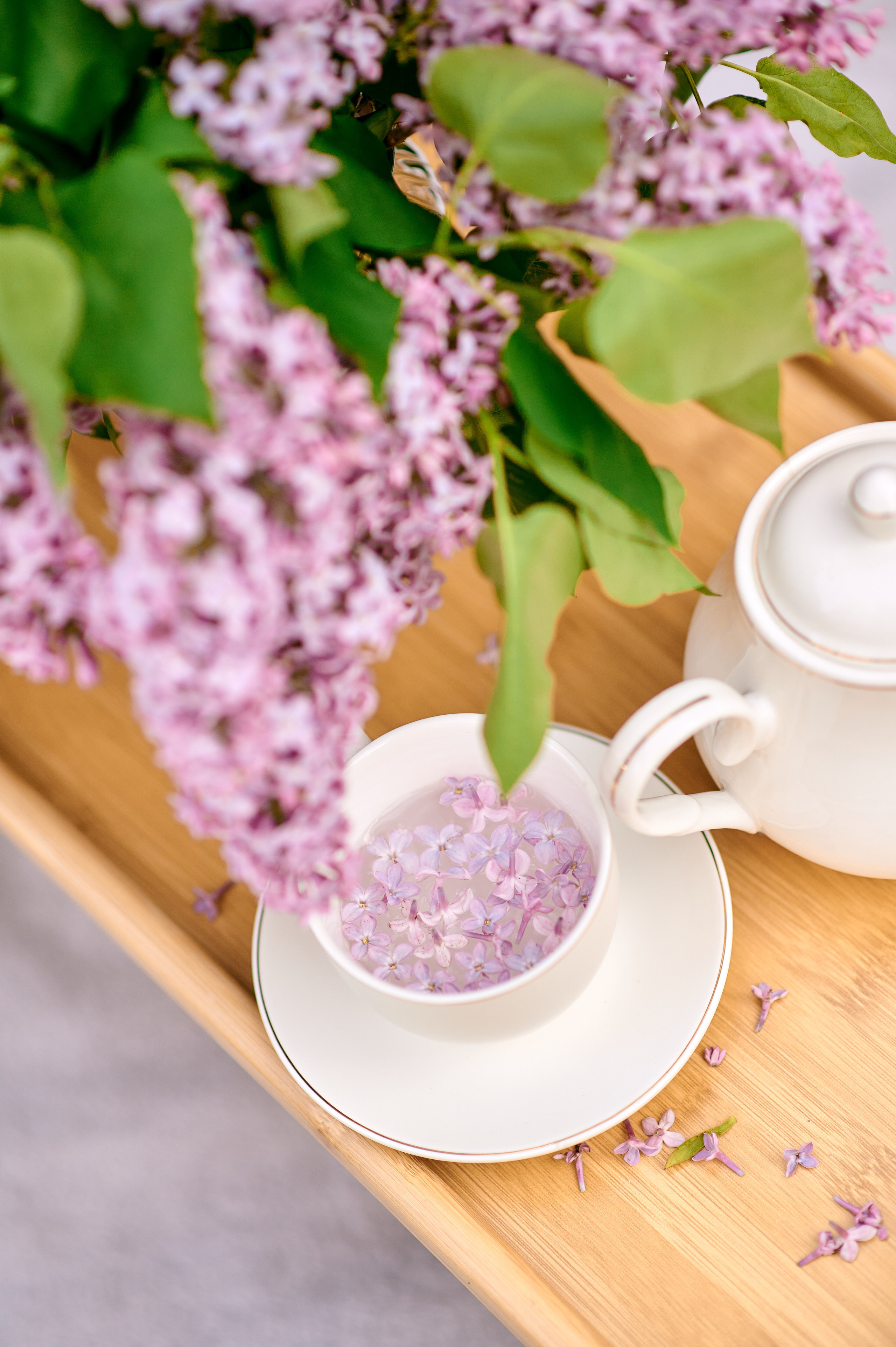 Сирень. Семейный и детский фотограф в г. Ногинске Ангелина Хасанова