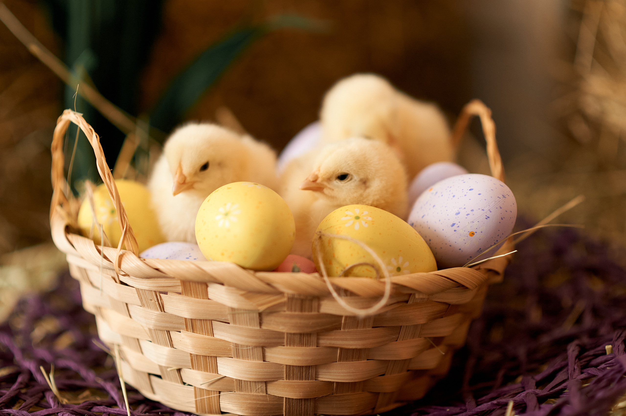 Весенний фотопроект. Семейный и детский фотограф в г. Ногинске Ангелина Хасанова