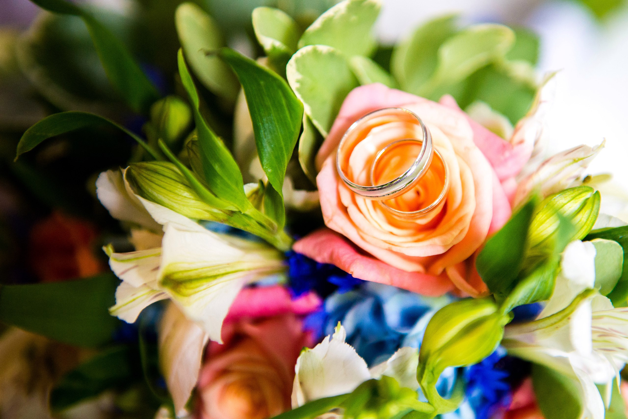 Портфолио. Семейный и детский фотограф в г. Ногинске Ангелина Хасанова