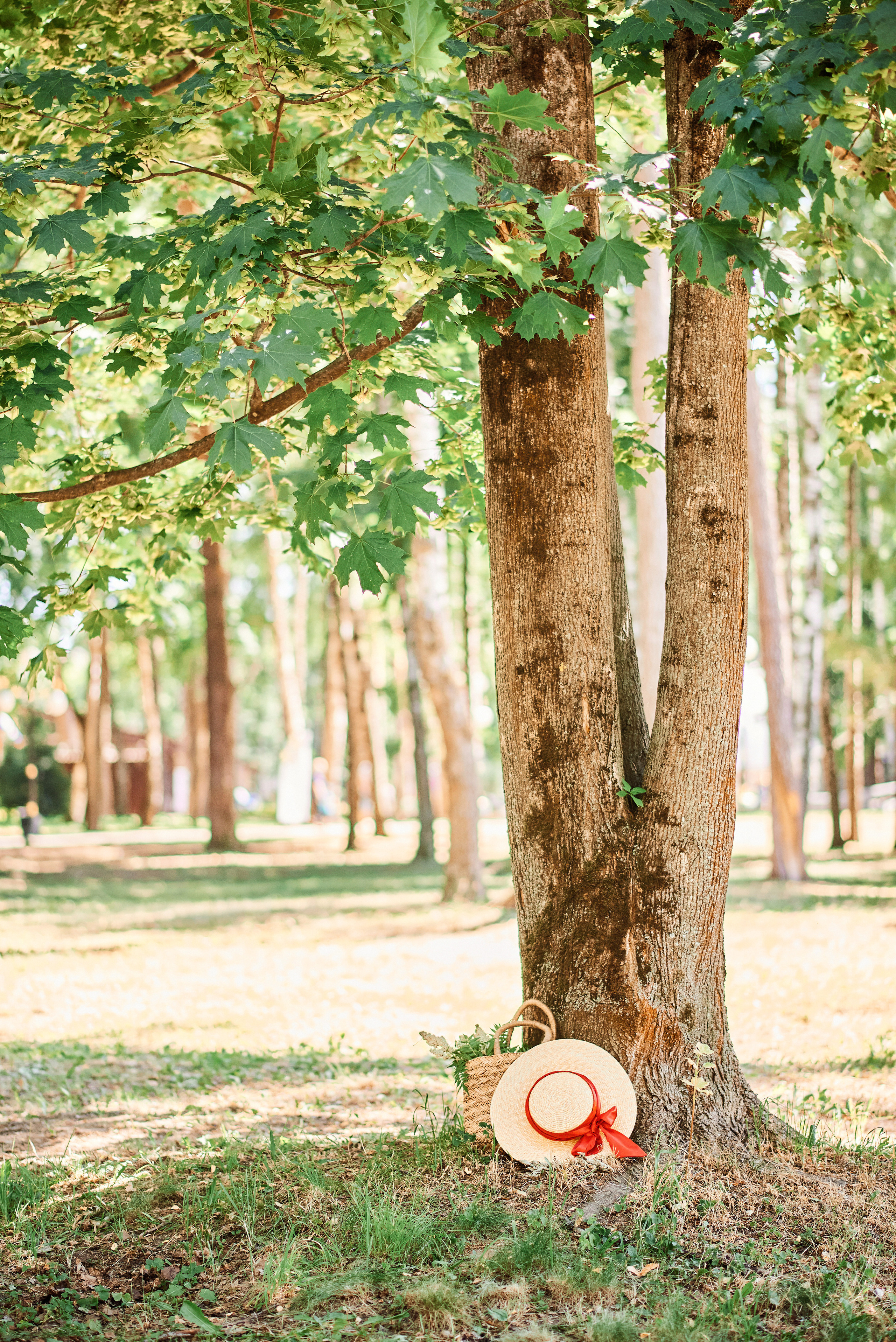 Пикник. Семейный и детский фотограф в г. Ногинске Ангелина Хасанова