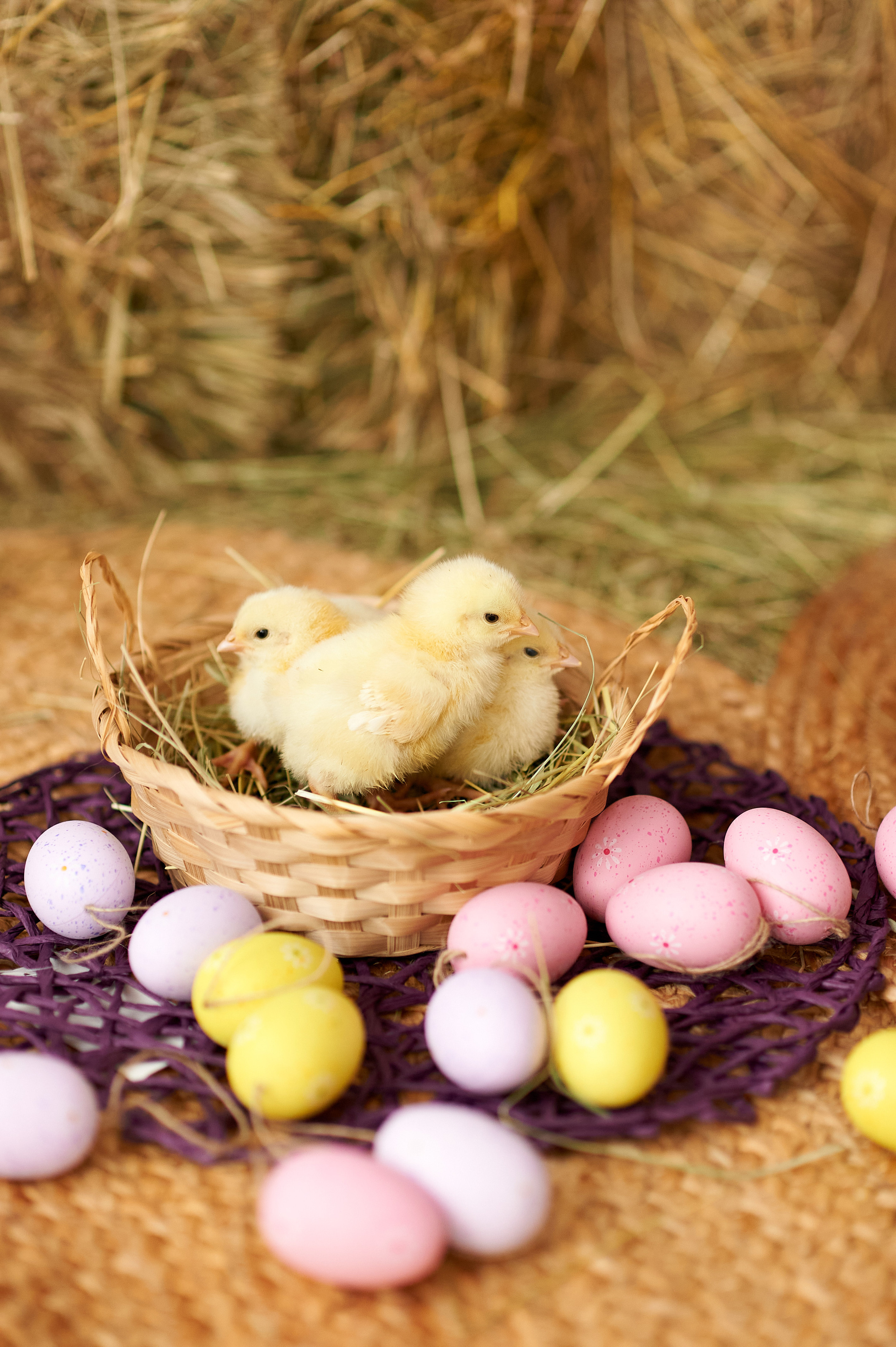 Весенний фотопроект. Семейный и детский фотограф в г. Ногинске Ангелина Хасанова