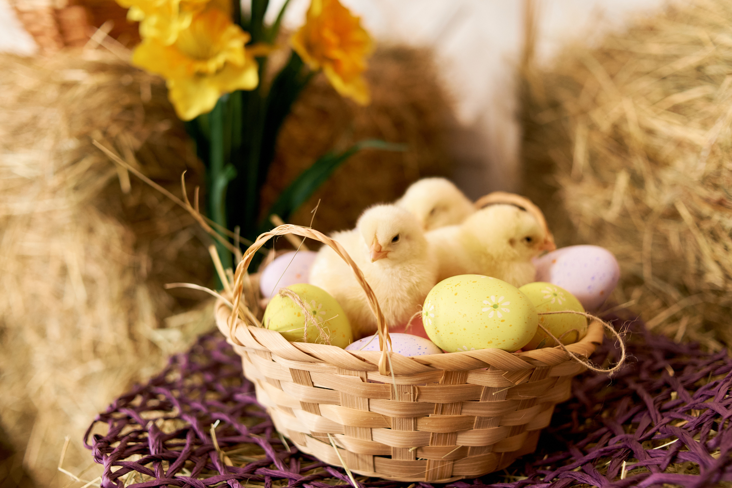 Весенний фотопроект. Семейный и детский фотограф в г. Ногинске Ангелина Хасанова