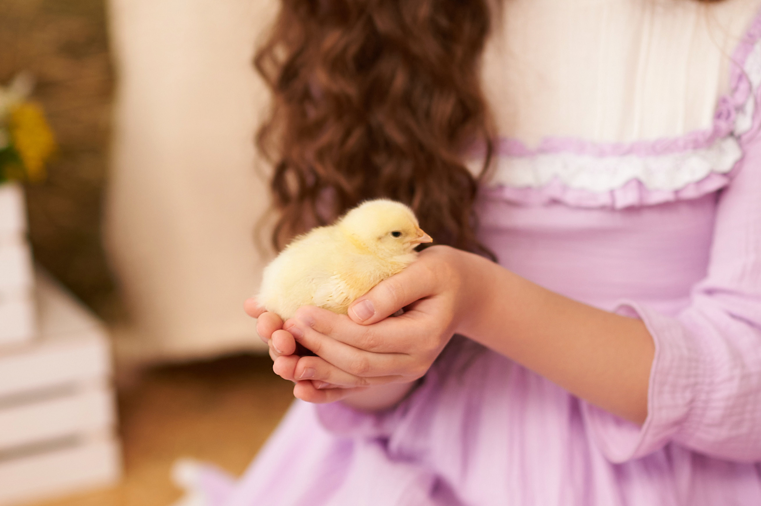 Весенний фотопроект. Семейный и детский фотограф в г. Ногинске Ангелина Хасанова