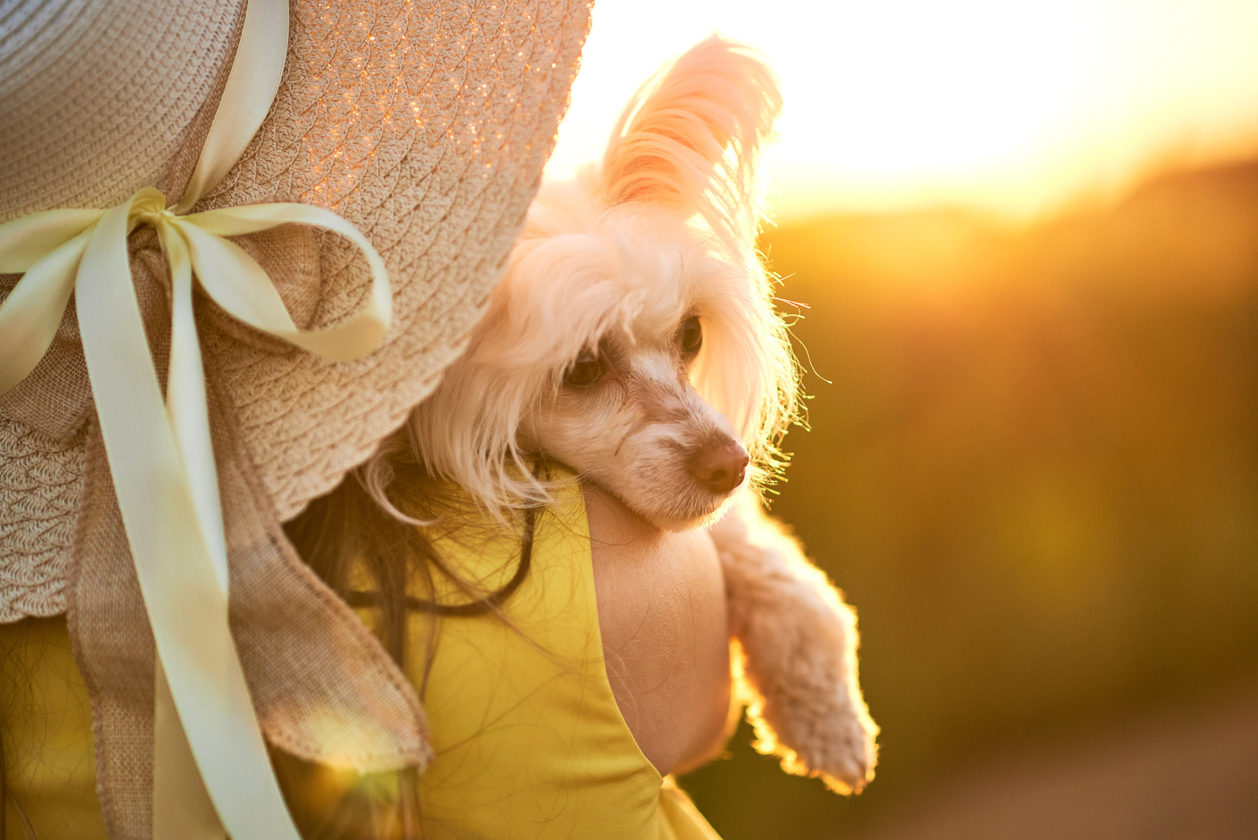 Фотопрогулка в поле. Семейный и детский фотограф в г. Ногинске Ангелина Хасанова